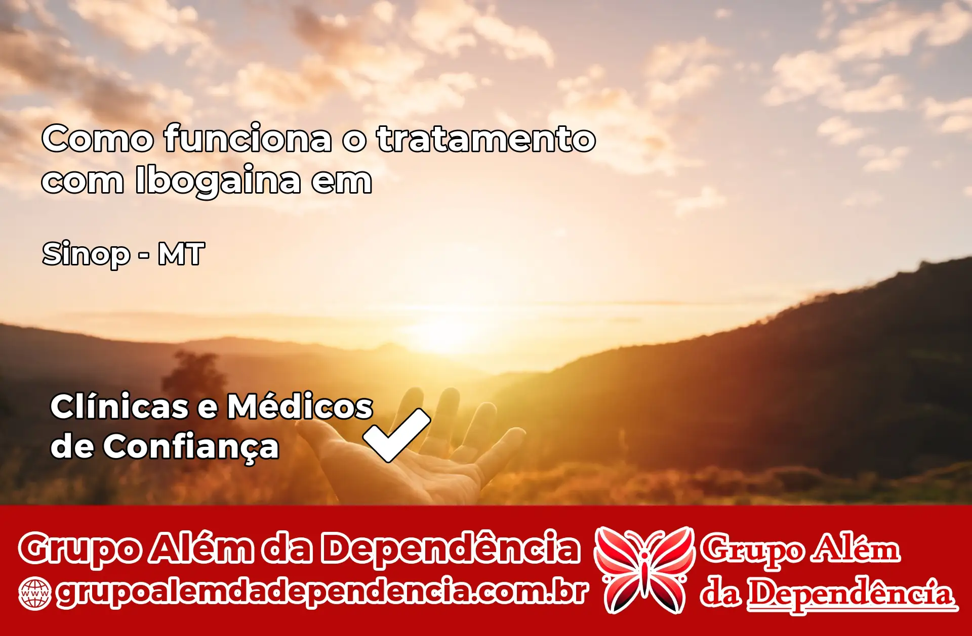 Como Funciona Ibogaína em Sinop – MT