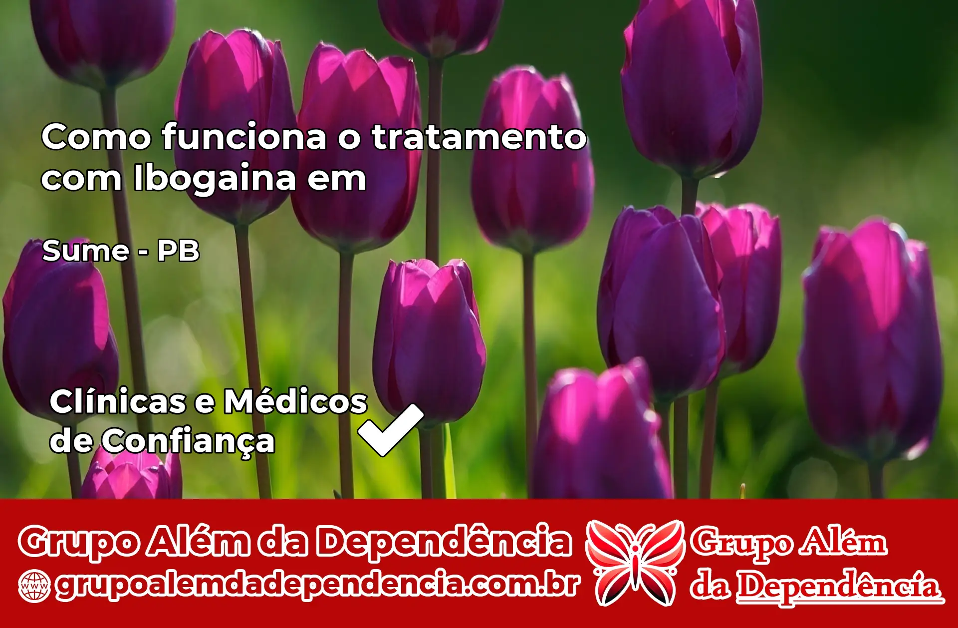 Como Funciona Ibogaína em Sumé – PB