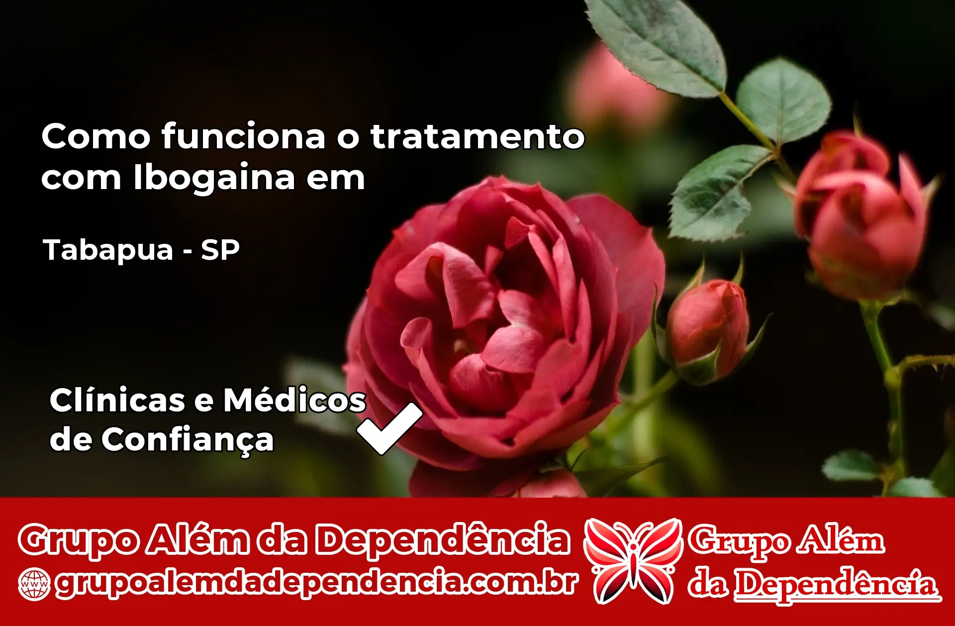Como Funciona Ibogaína em Tabapuã – SP