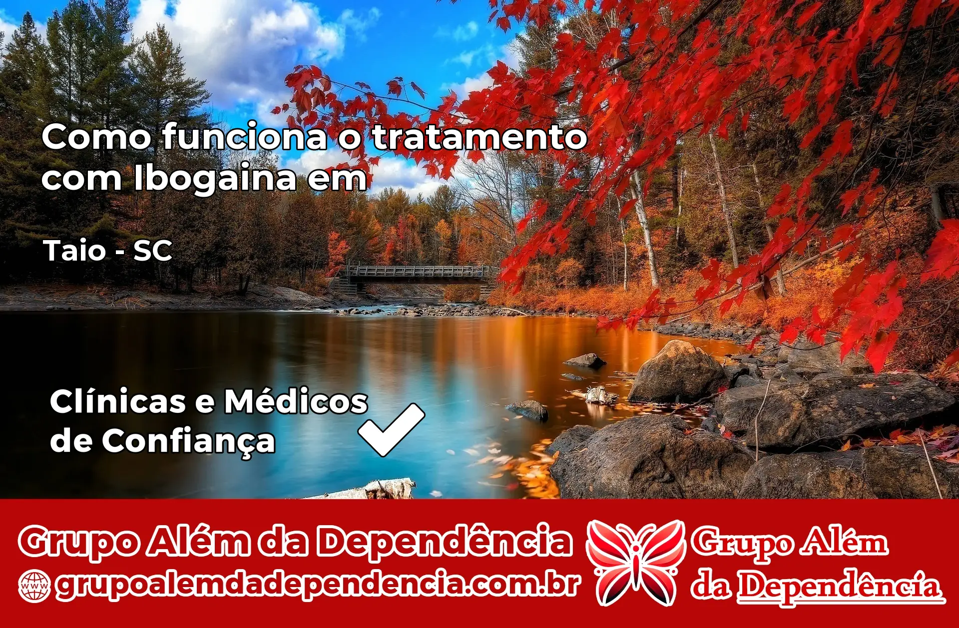 Como Funciona Ibogaína em Taió – SC