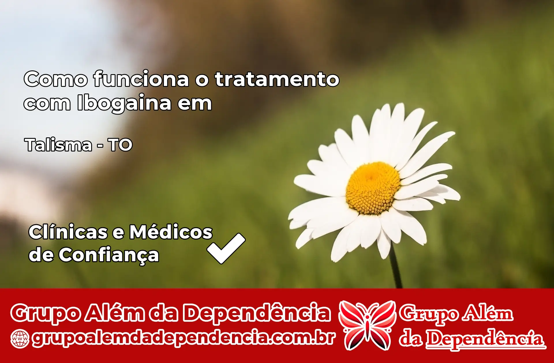 Como Funciona Ibogaína em Talismã – TO