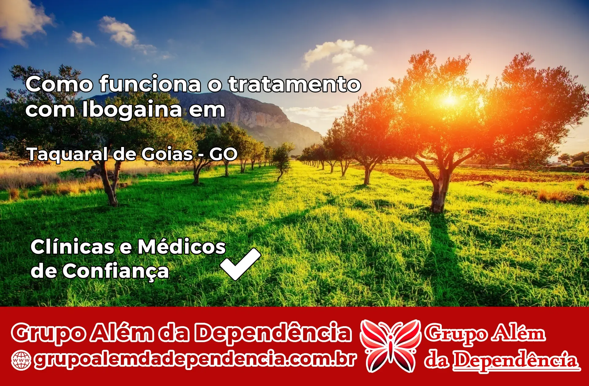 Como Funciona Ibogaína em Taquaral de Goiás – GO