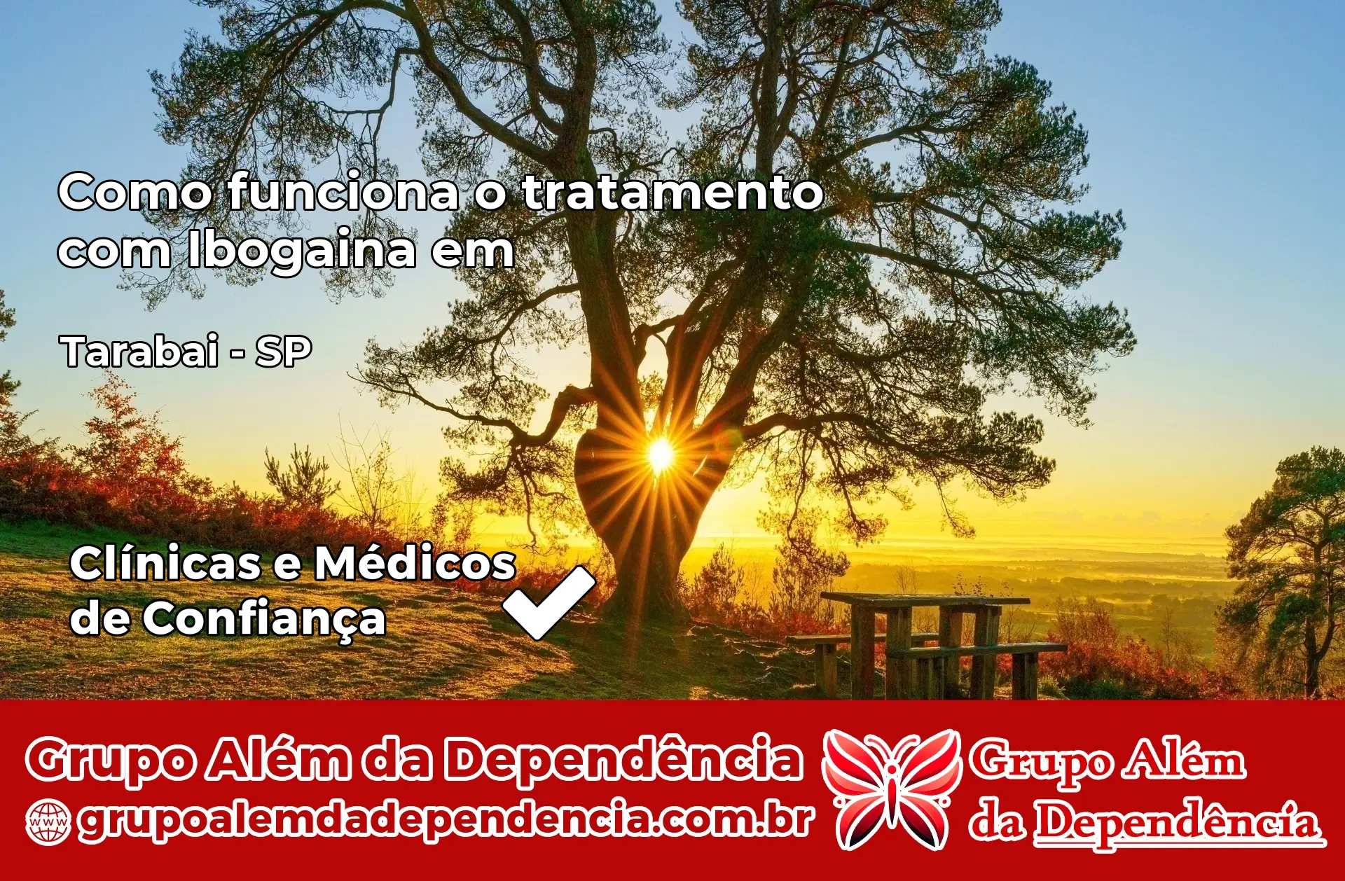Como Funciona Ibogaína em Tarabai – SP