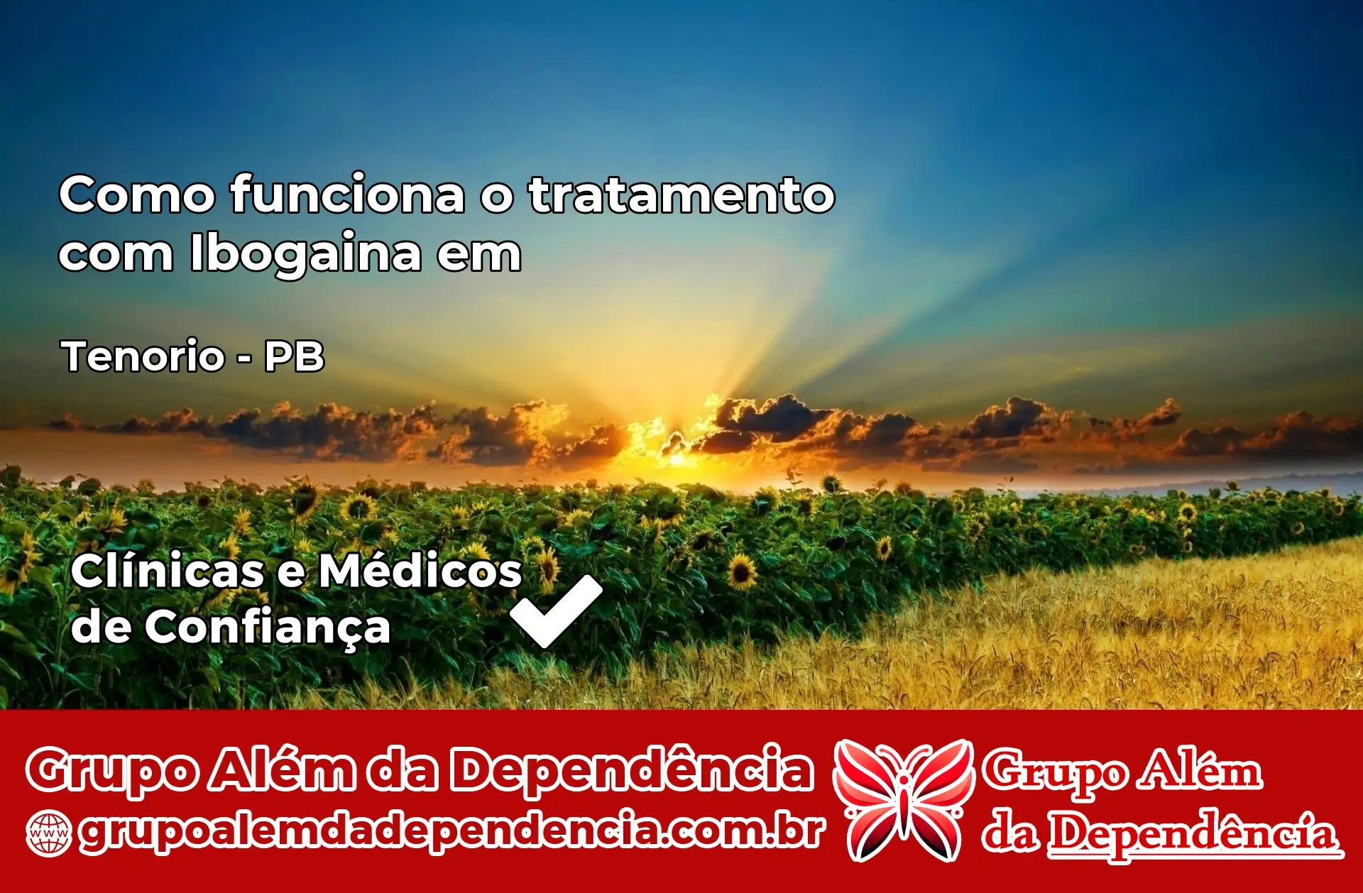 Como Funciona Ibogaína em Tenório – PB