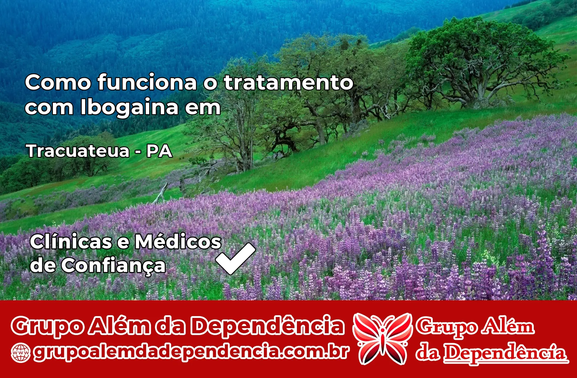 Como Funciona Ibogaína em Tracuateua – PA