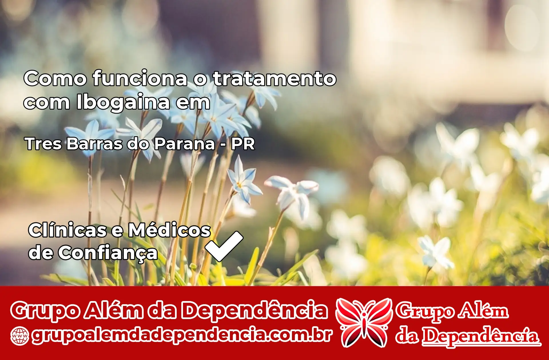 Como Funciona Ibogaína em Tibagi – PR