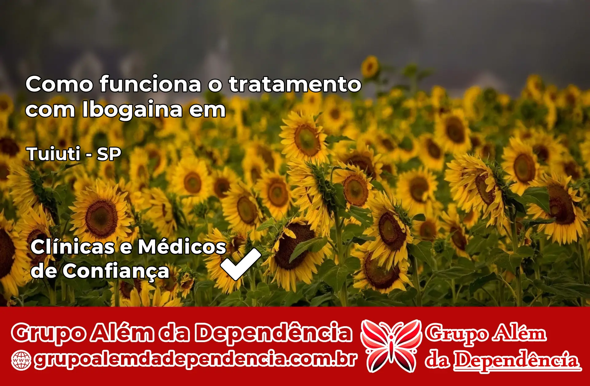 Como Funciona Ibogaína em Tuiuti – SP