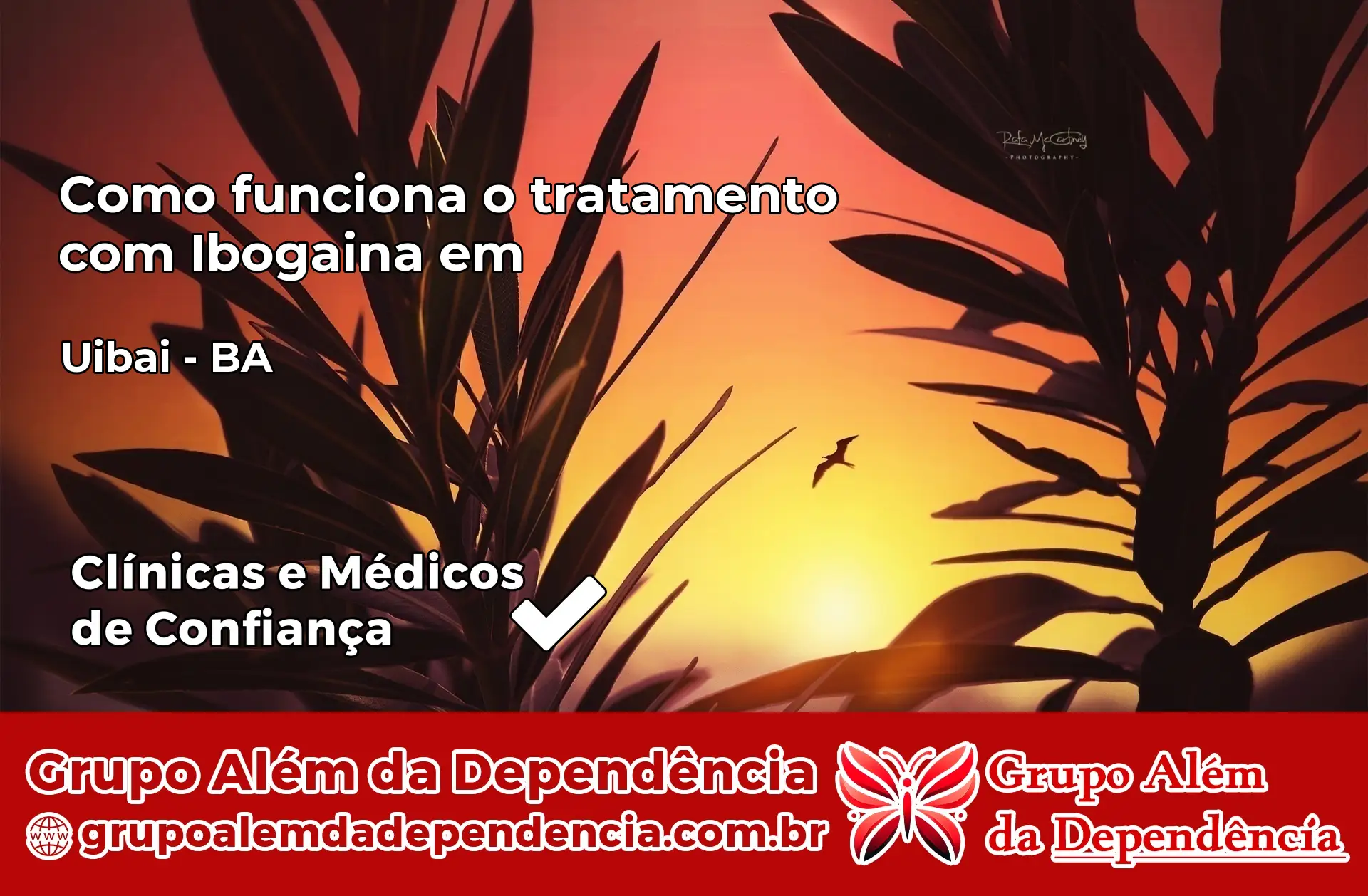 Como Funciona Ibogaína em Uibaí – BA