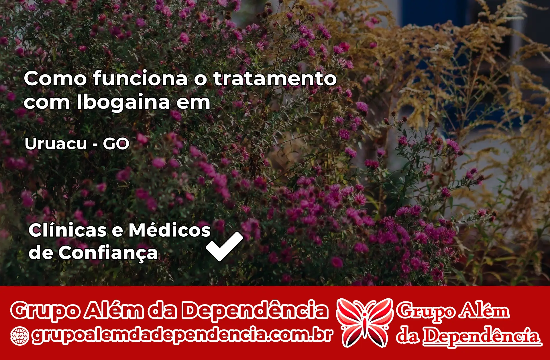 Como Funciona Ibogaína em Uruaçu – GO
