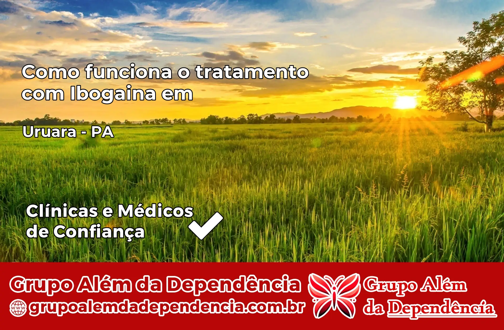 Como Funciona Ibogaína em Uruará – PA