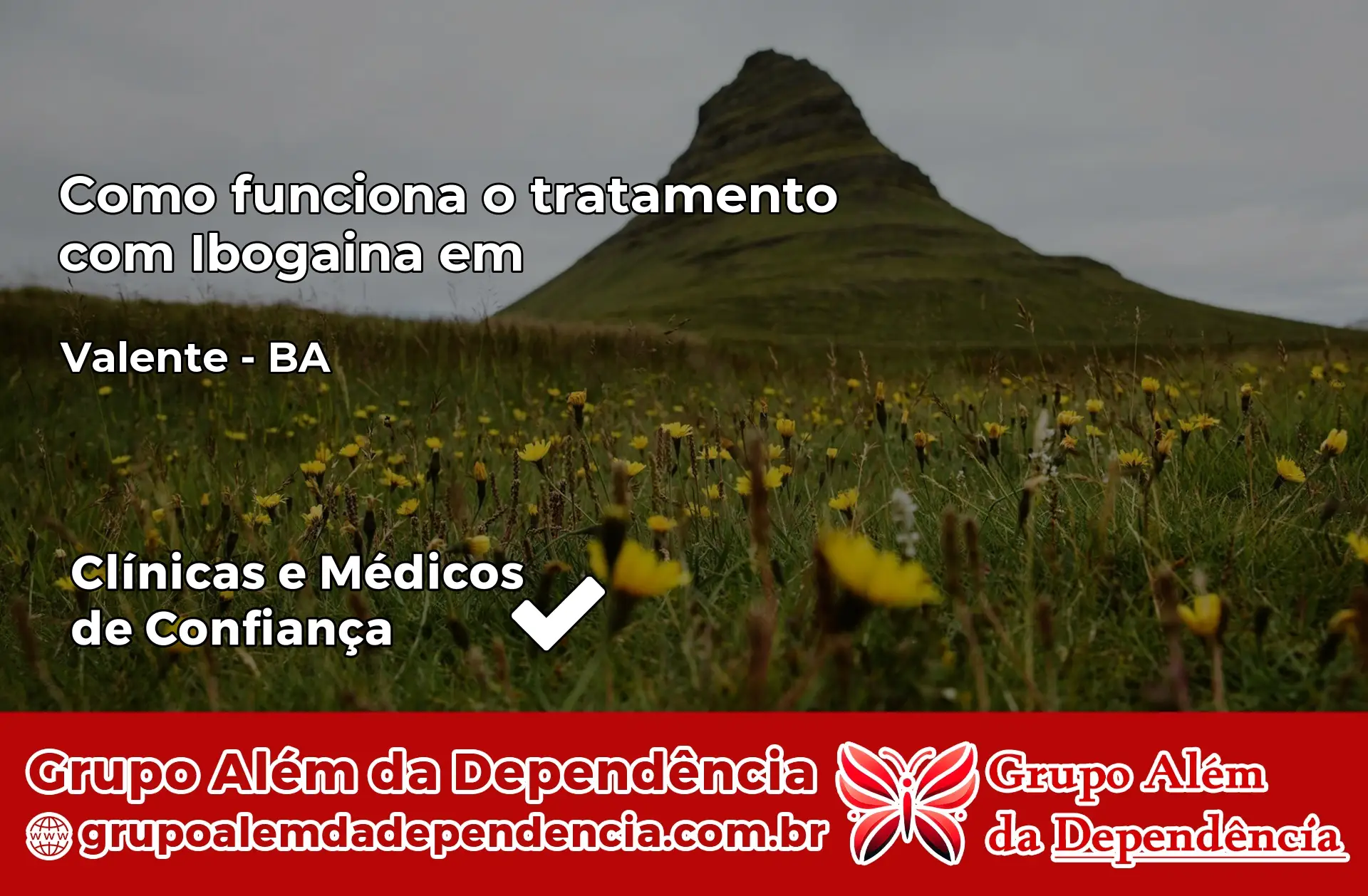 Como Funciona Ibogaína em Valente – BA