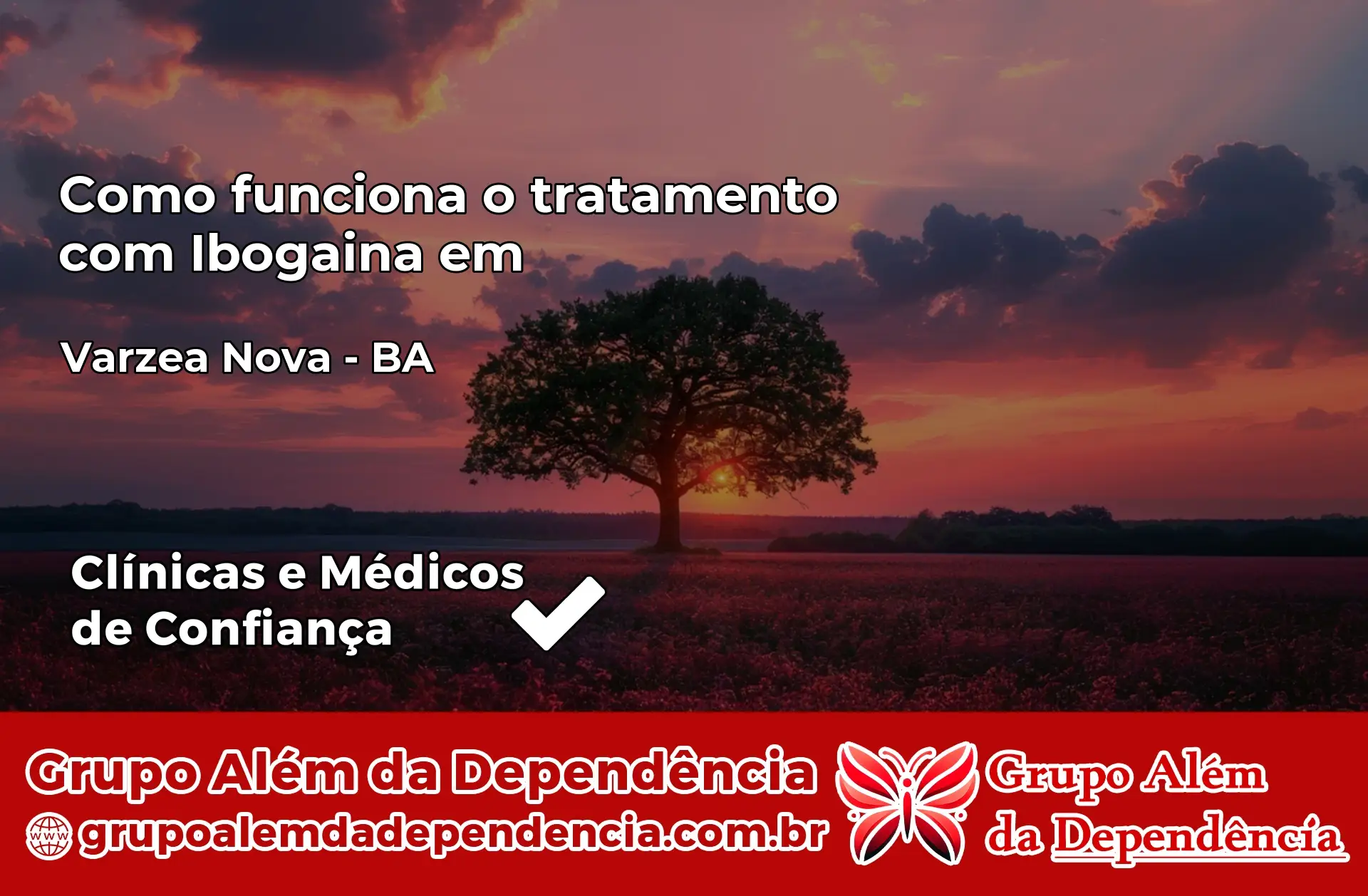 Como Funciona Ibogaína em Várzea Nova – BA