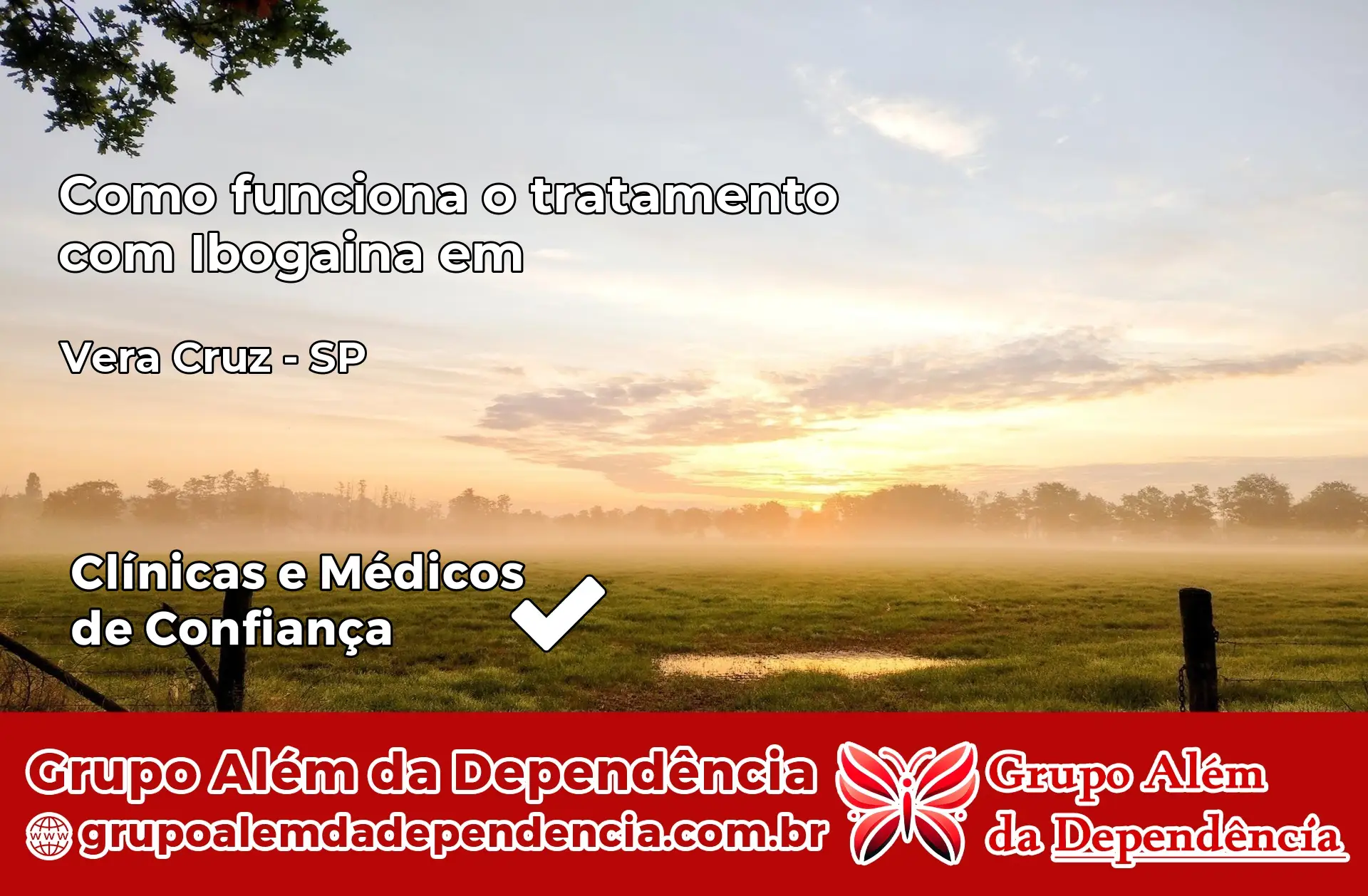 Como Funciona Ibogaína em Vera Cruz – SP