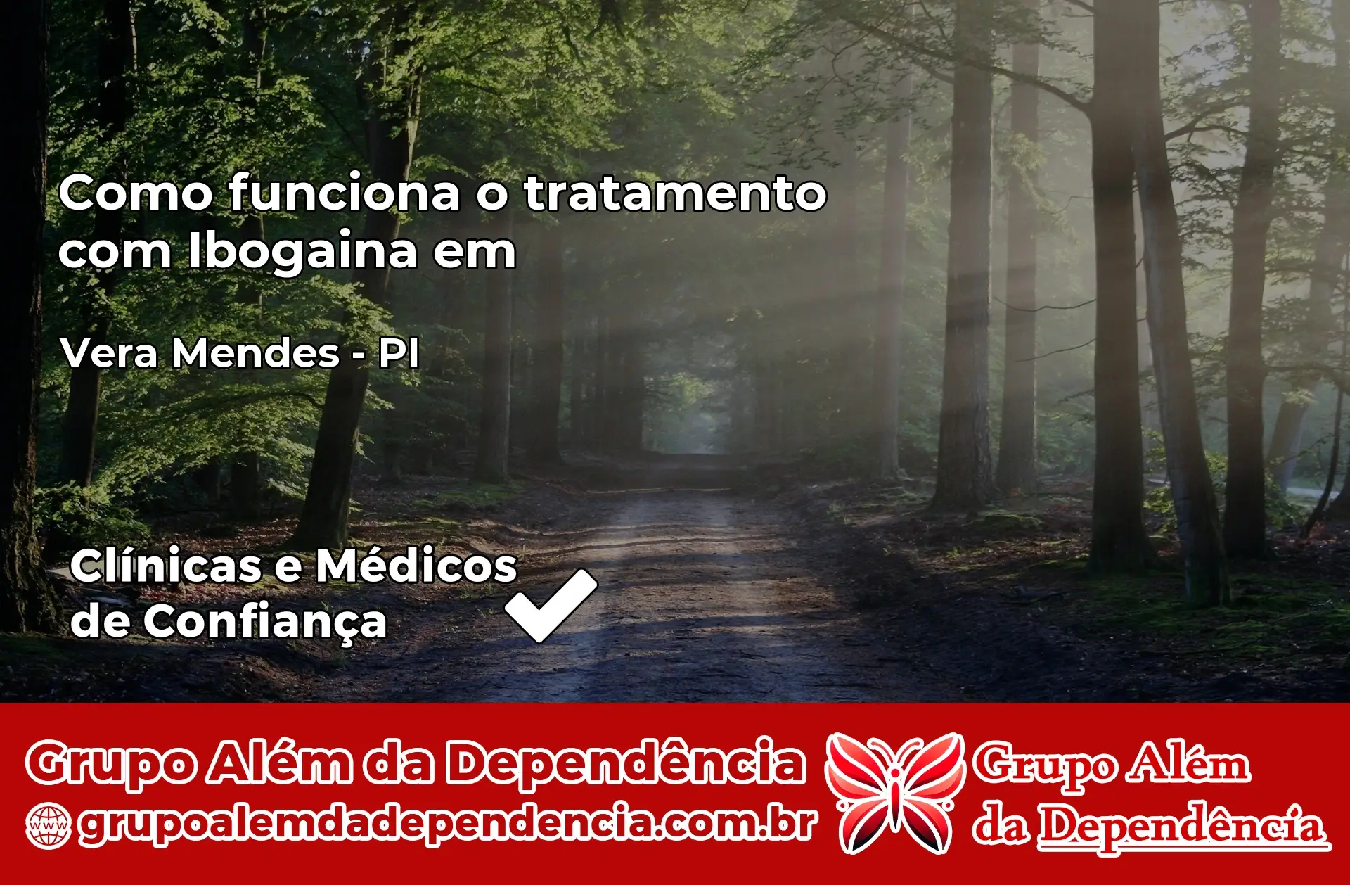 Como Funciona Ibogaína em Vera Mendes – PI