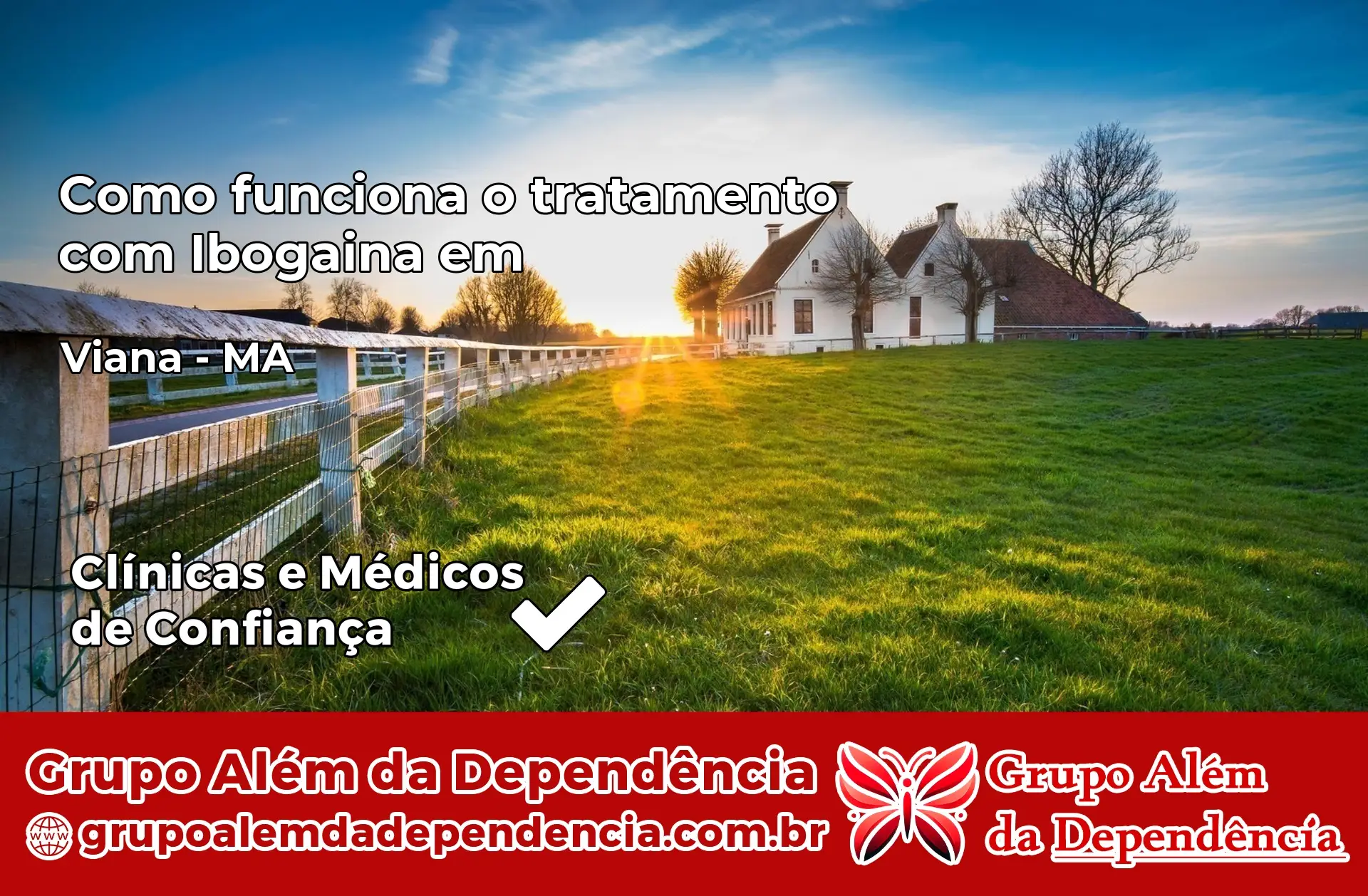 Como Funciona Ibogaína em Viana – MA