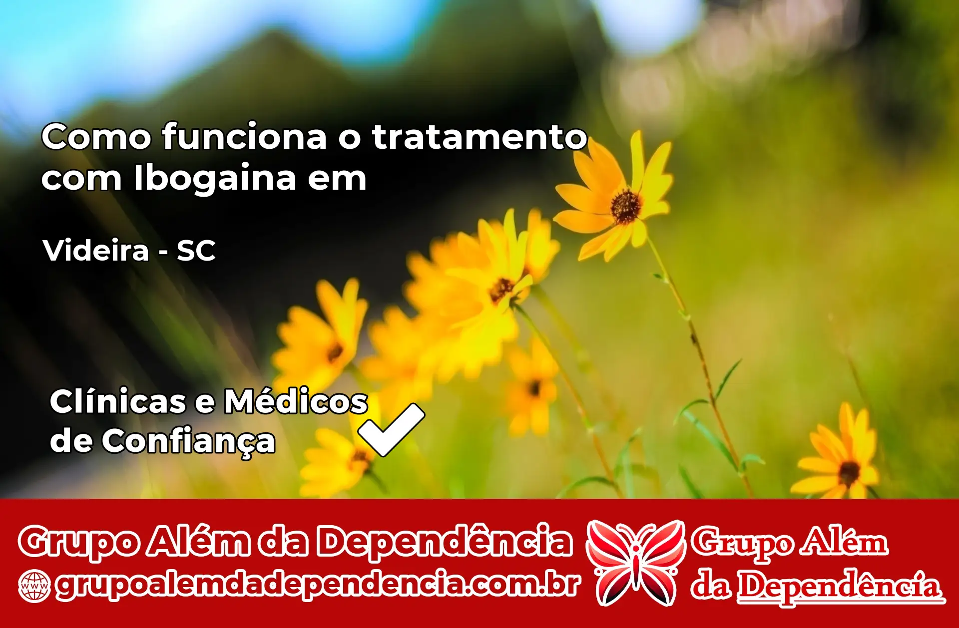 Como Funciona Ibogaína em Videira – SC