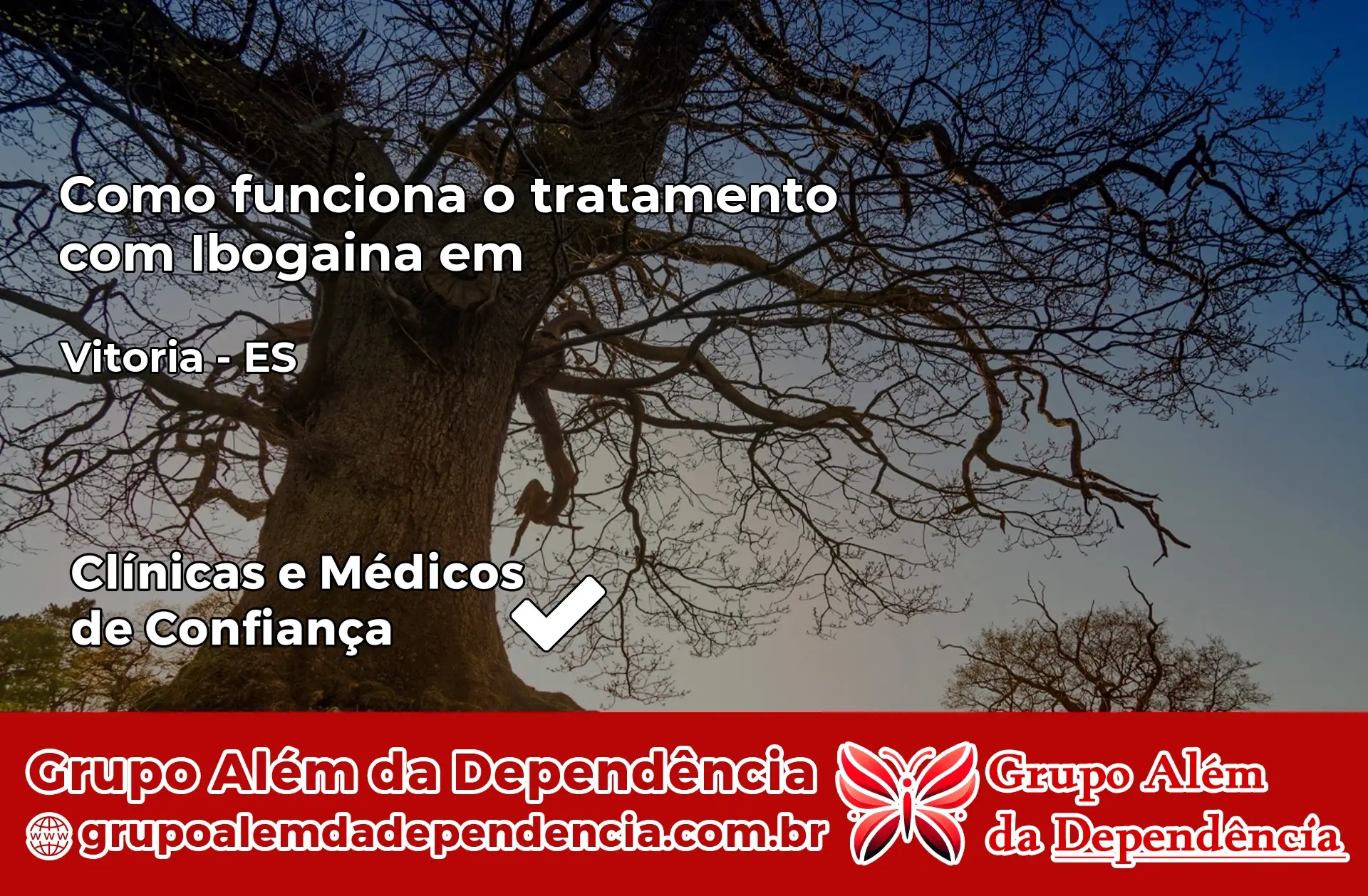 Como Funciona Ibogaína em Vitória – ES