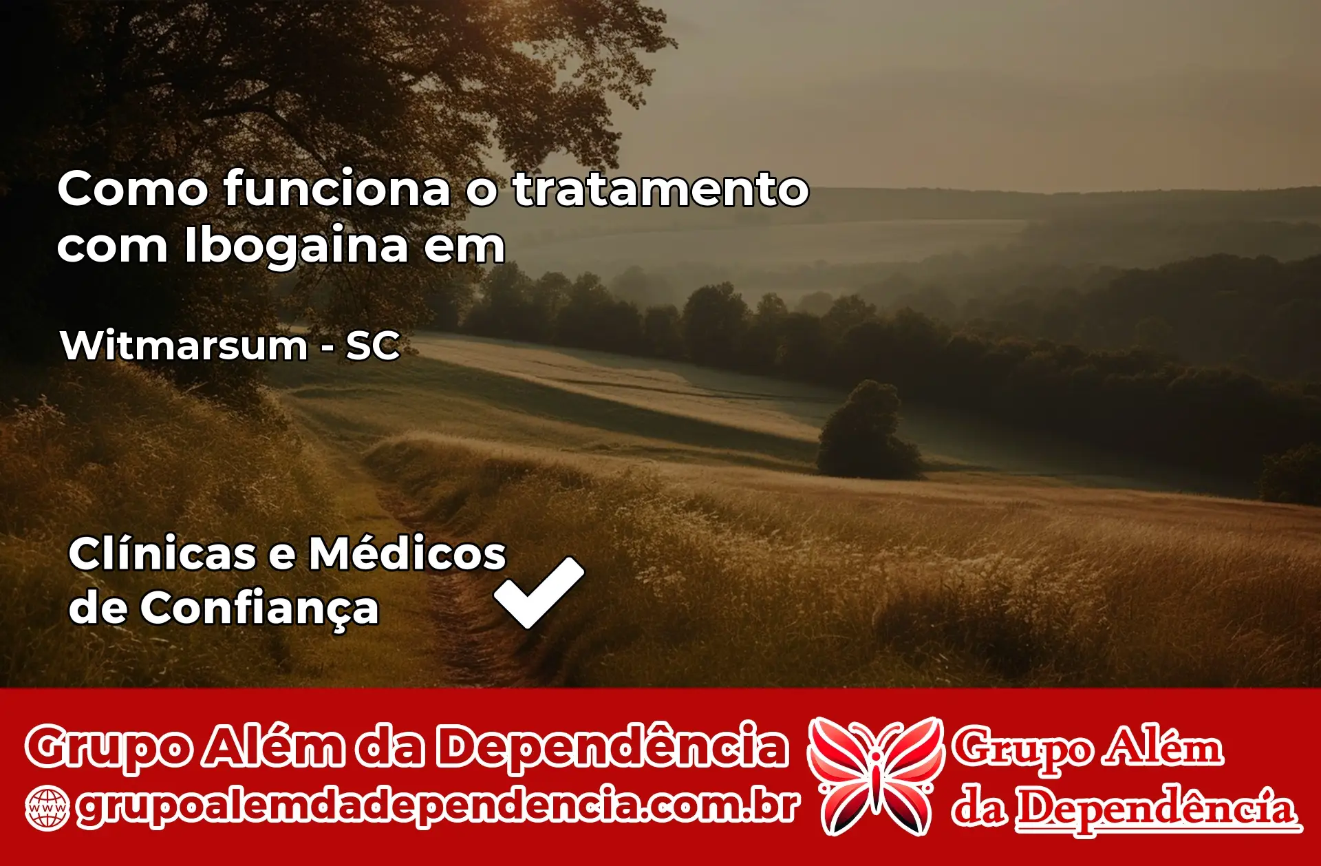 Como Funciona Ibogaína em Witmarsum – SC