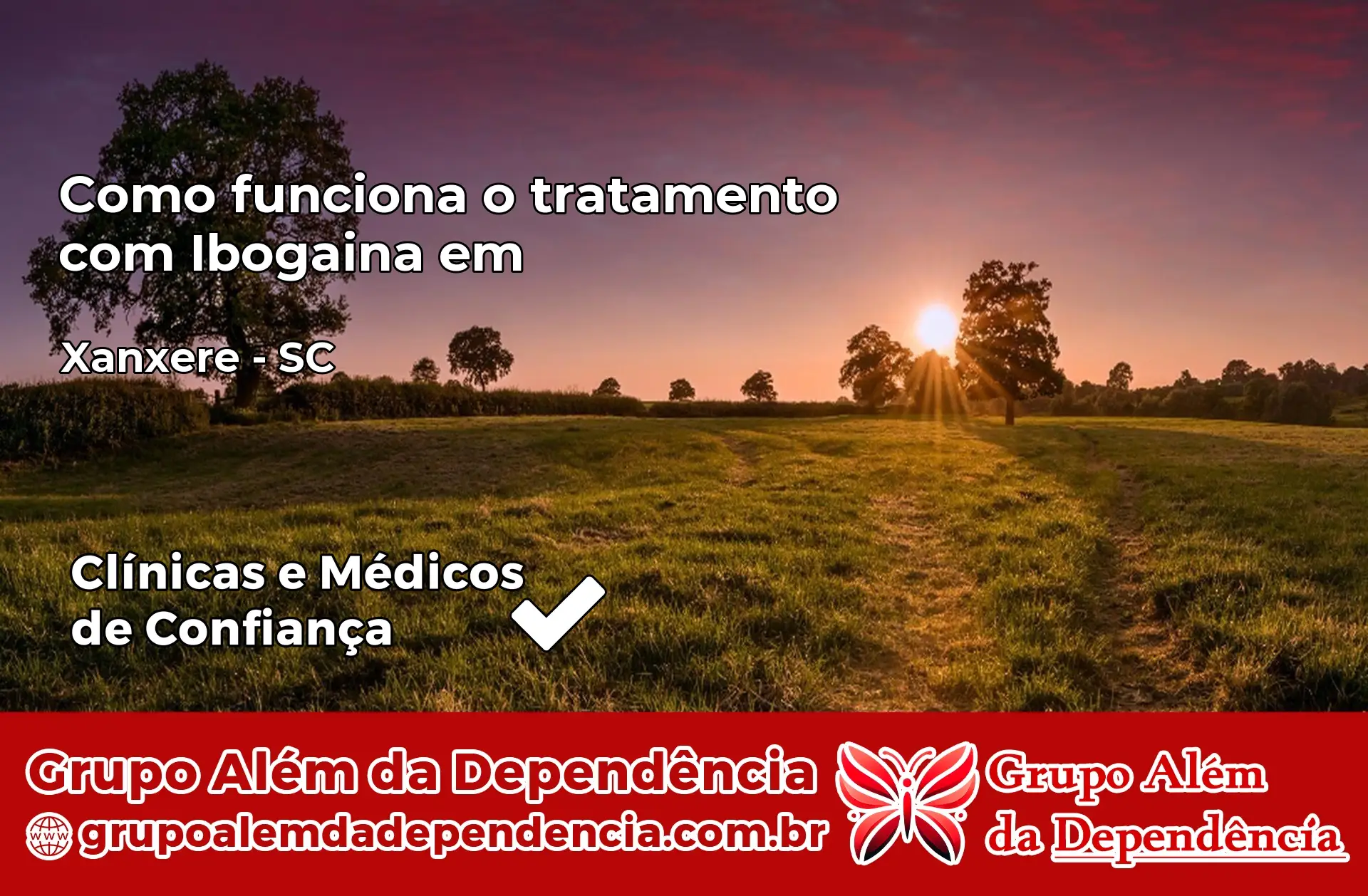 Como Funciona Ibogaína em Xanxerê – SC