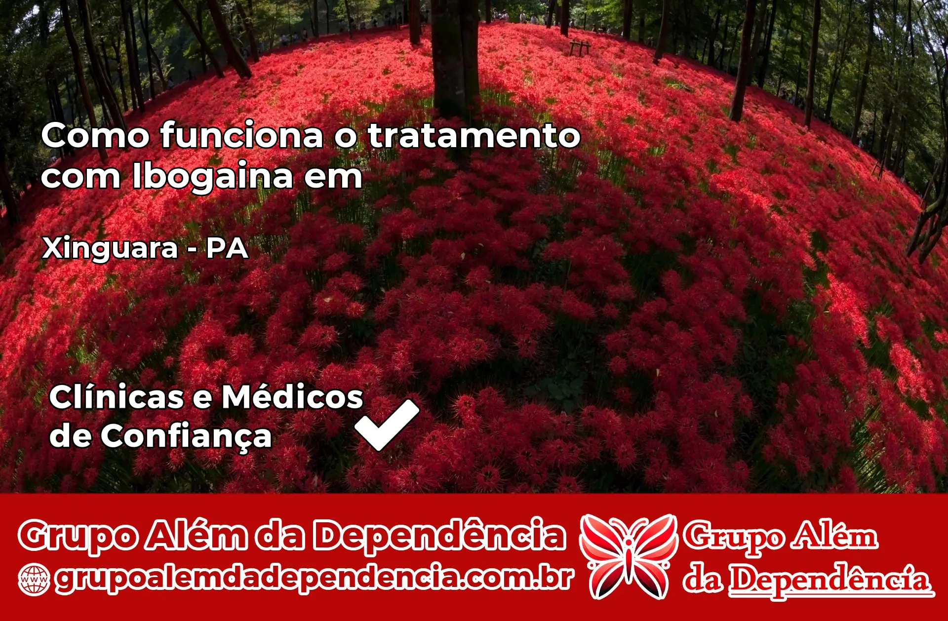 Como Funciona Ibogaína em Xinguara – PA