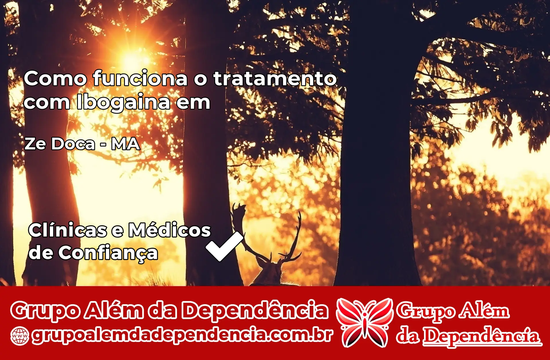 Como Funciona Ibogaína em Zé Doca – MA