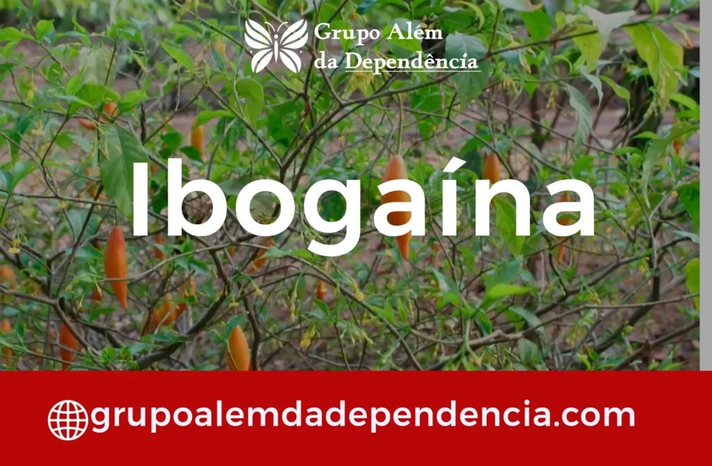 Como Funciona o Tratamento com Ibogaína em Belém – PA 2 ibogaina 1