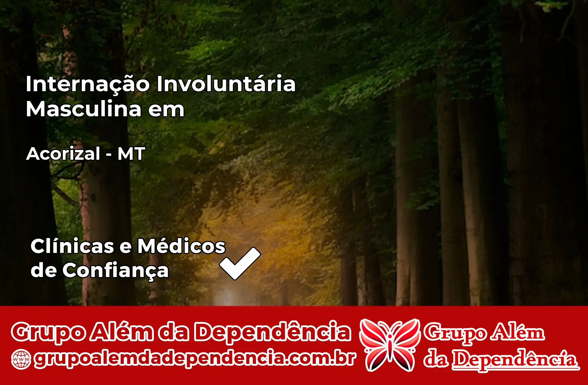 Internação Involuntária Masculina em Acorizal – MT