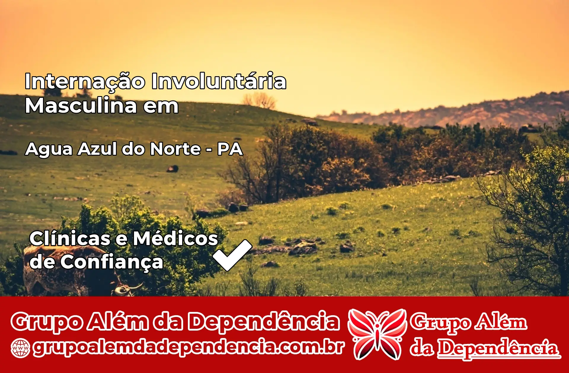 Internação Involuntária Masculina em Água Azul do Norte – PA