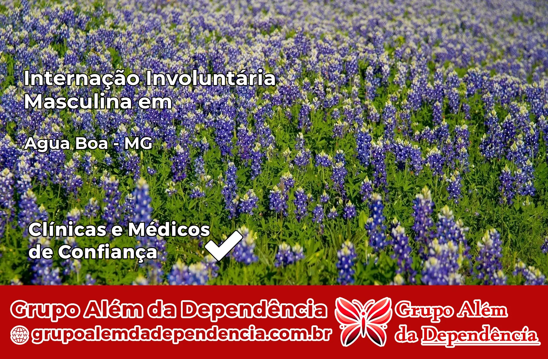 Internação Involuntária Masculina em Água Boa – MG
