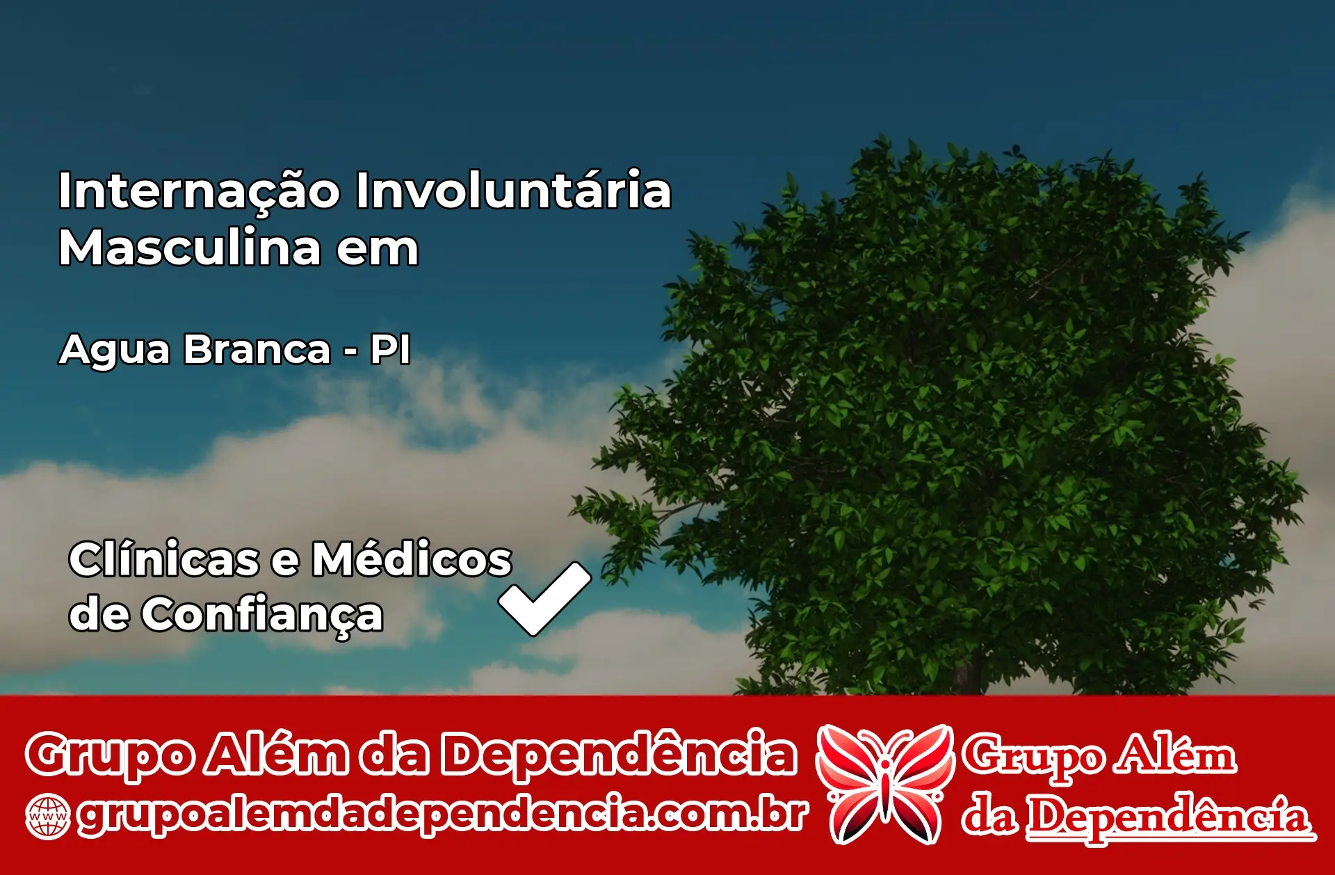 Internação Involuntária Masculina em Água Branca – PI