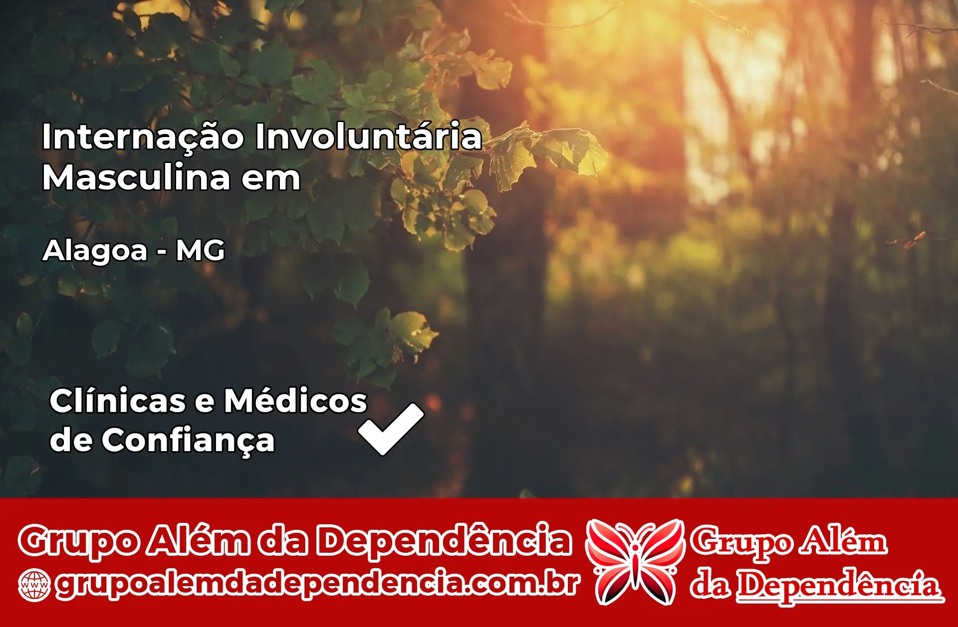 Internação Involuntária Masculina em Alagoa – MG