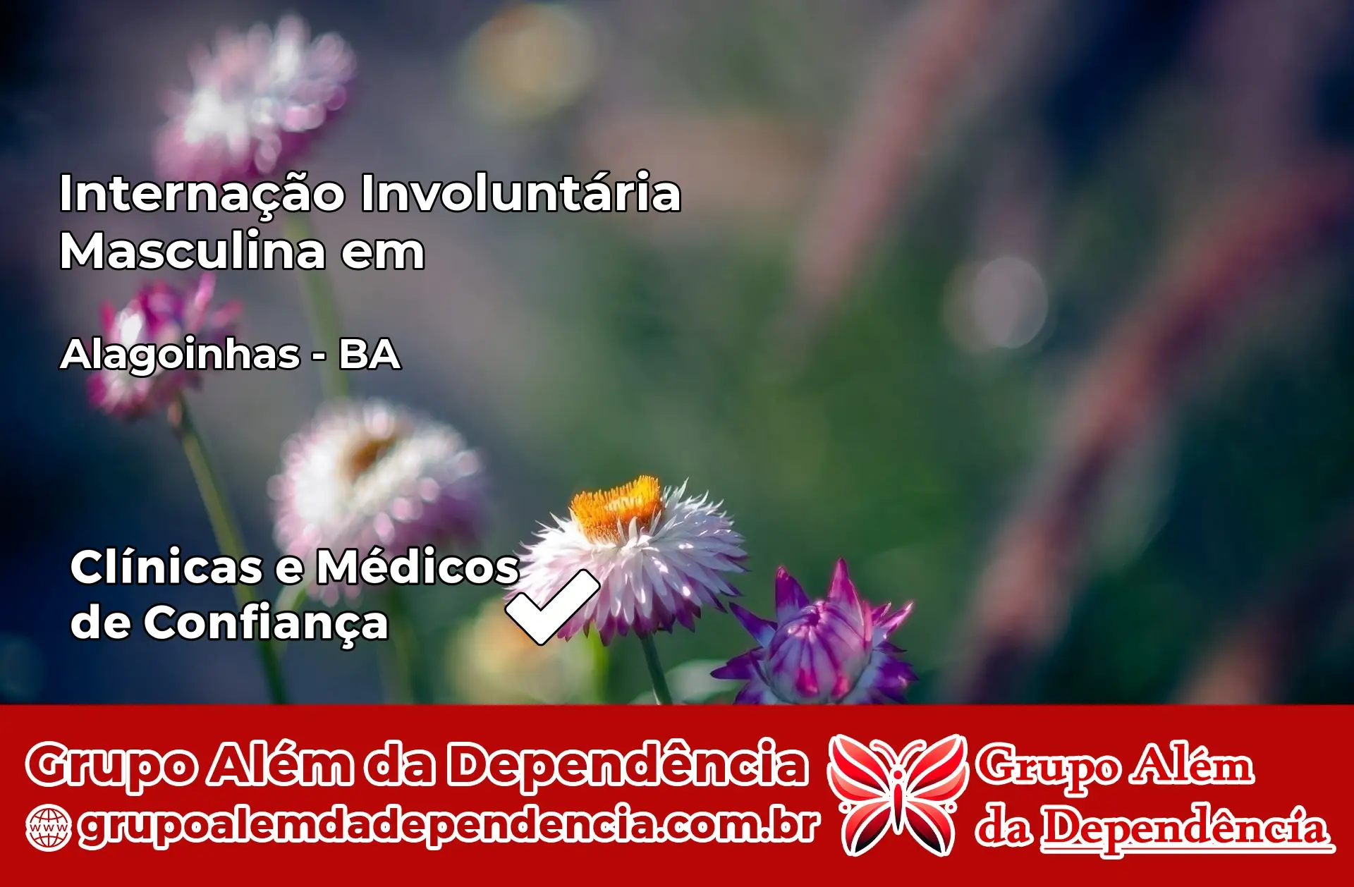 Internação Involuntária Masculina em Alagoinhas – BA