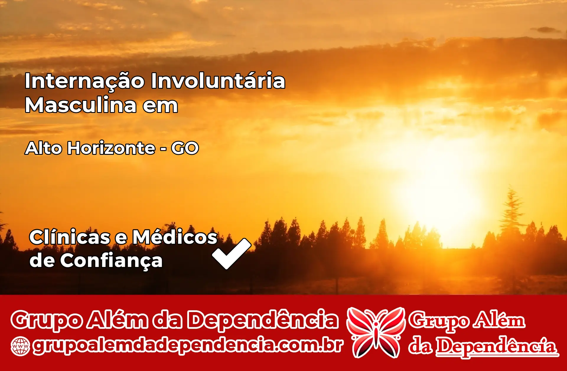 Internação Involuntária Masculina em Alto Horizonte – GO