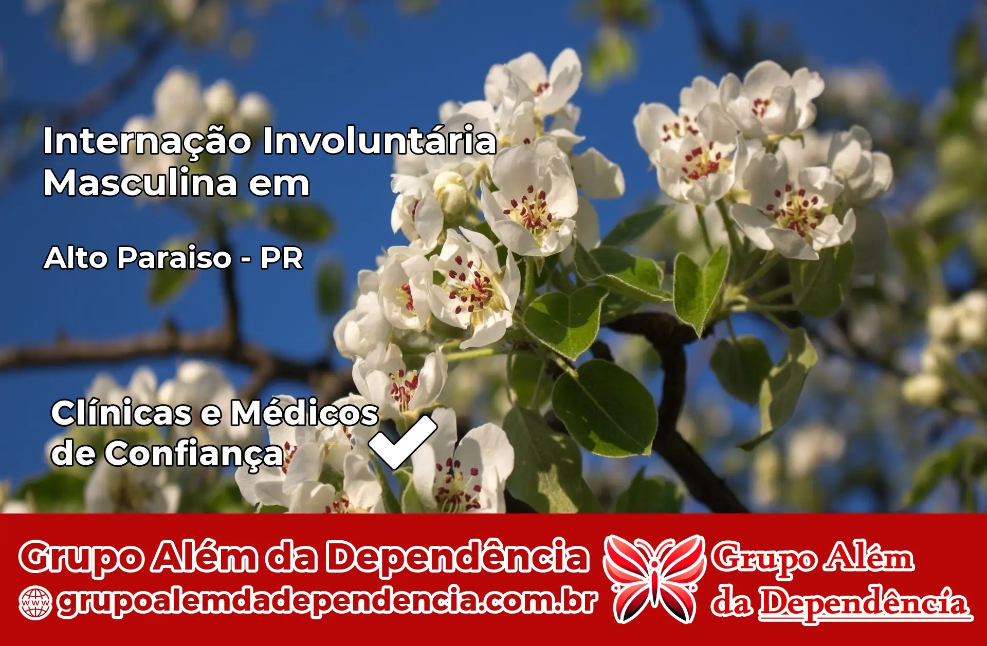 Internação Involuntária Masculina em Alto Paraíso – PR