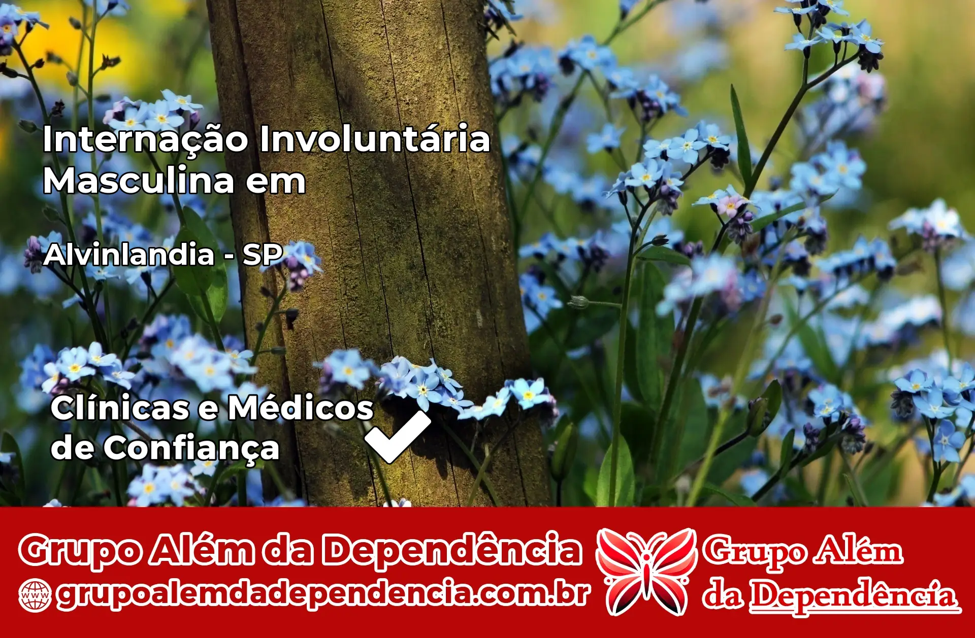 Internação Involuntária Masculina em Alvinlândia – SP