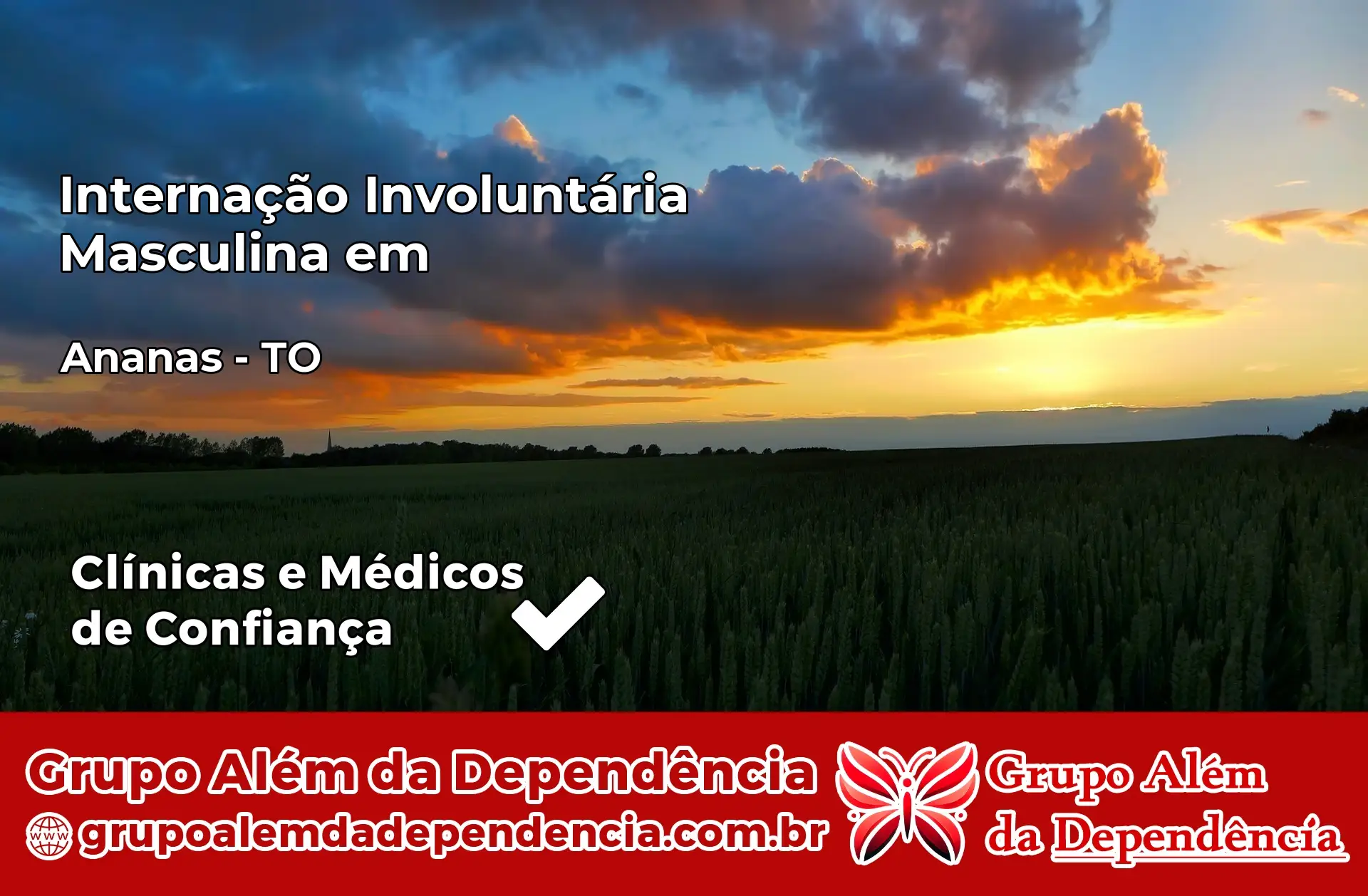 Internação Involuntária Masculina em Ananás – TO