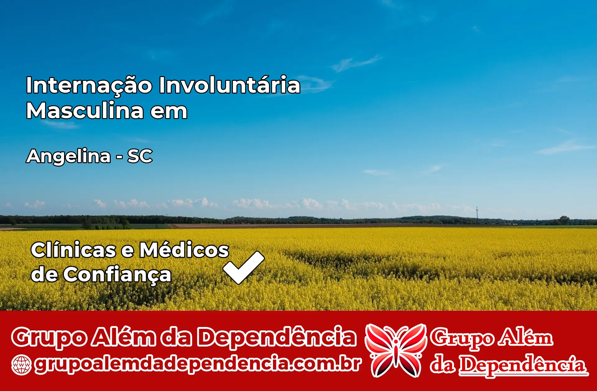 Internação Involuntária Masculina em Angelina – SC
