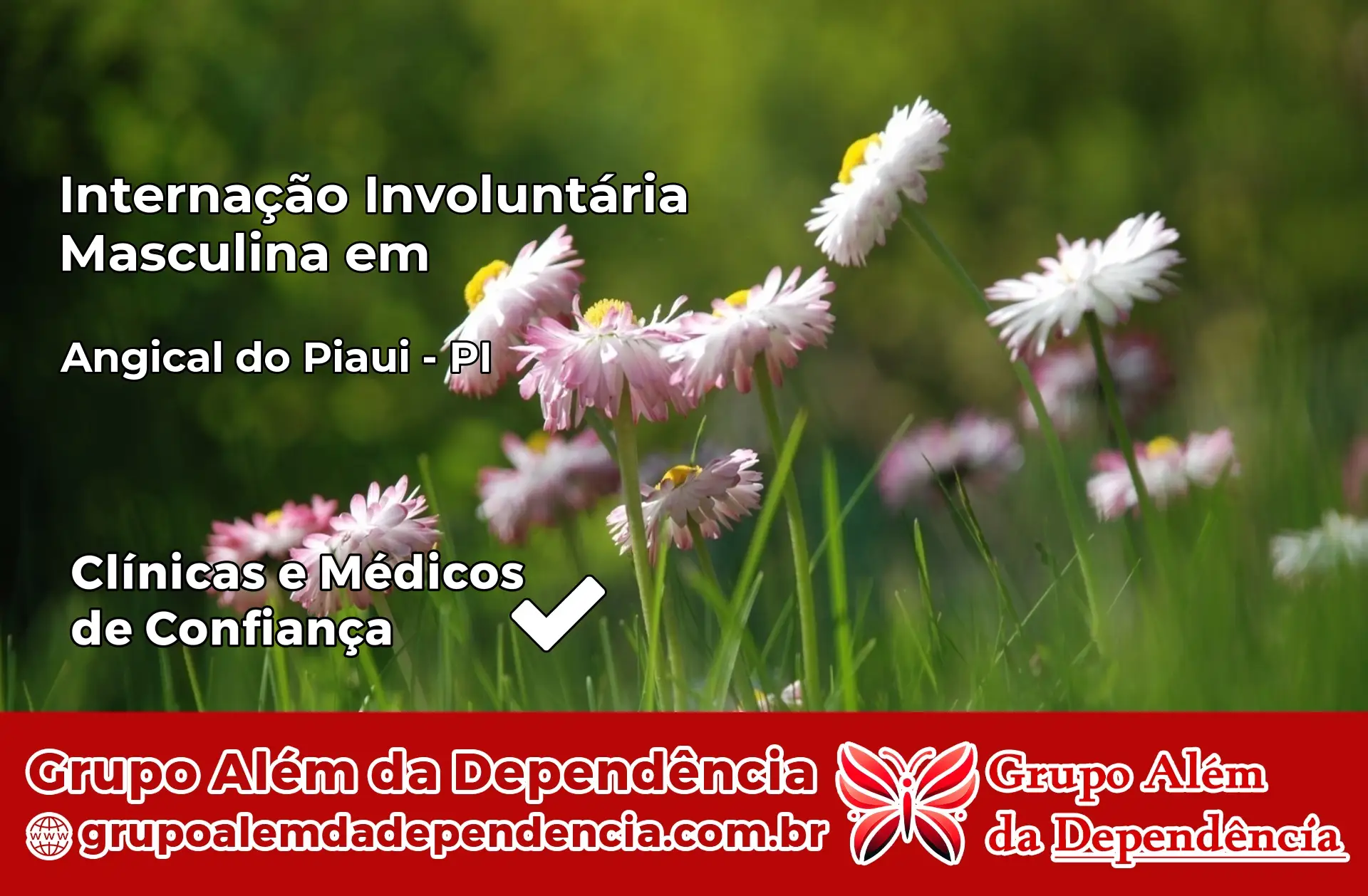 Internação Involuntária Masculina em Angical do Piauí – PI