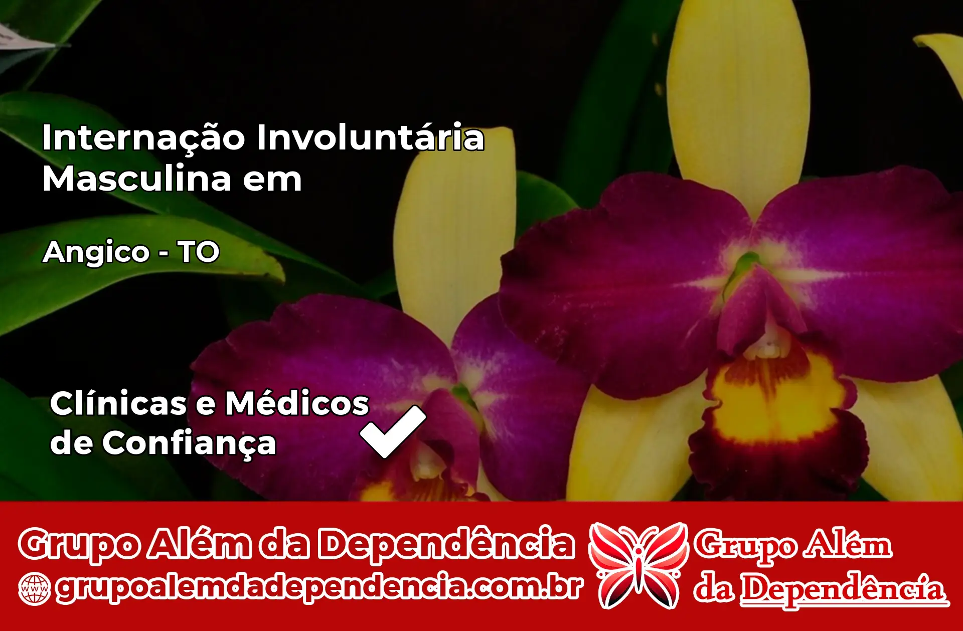 Internação Involuntária Masculina em Angico – TO