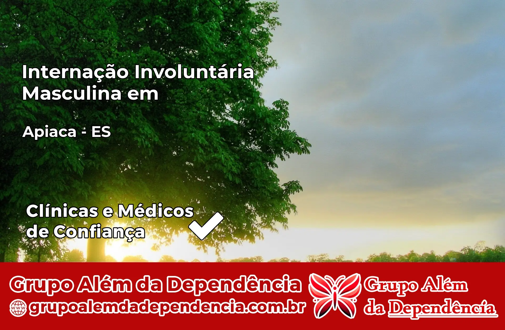 Internação Involuntária Masculina em Apiacá – ES