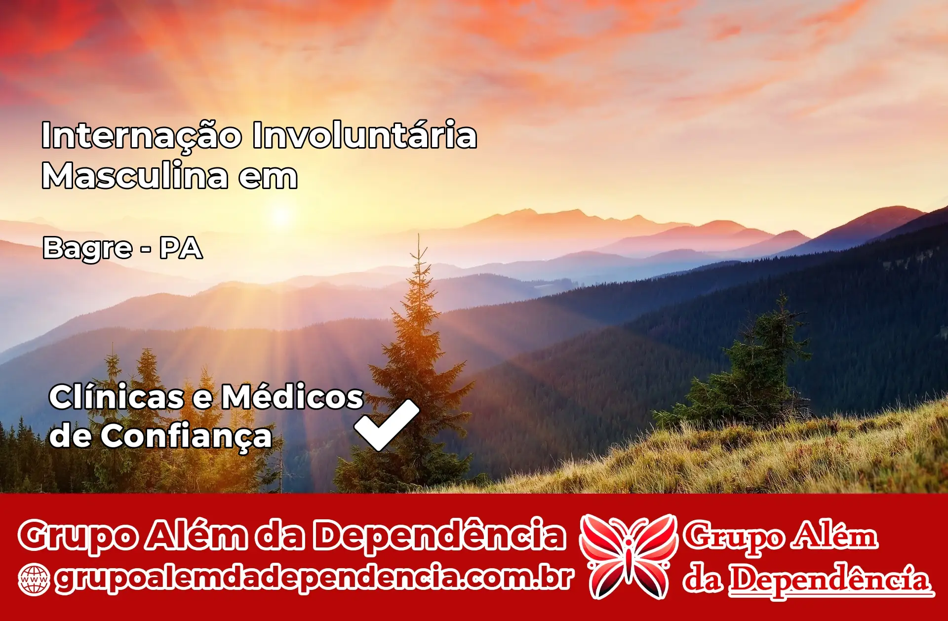 Internação Involuntária Masculina em Bagre – PA