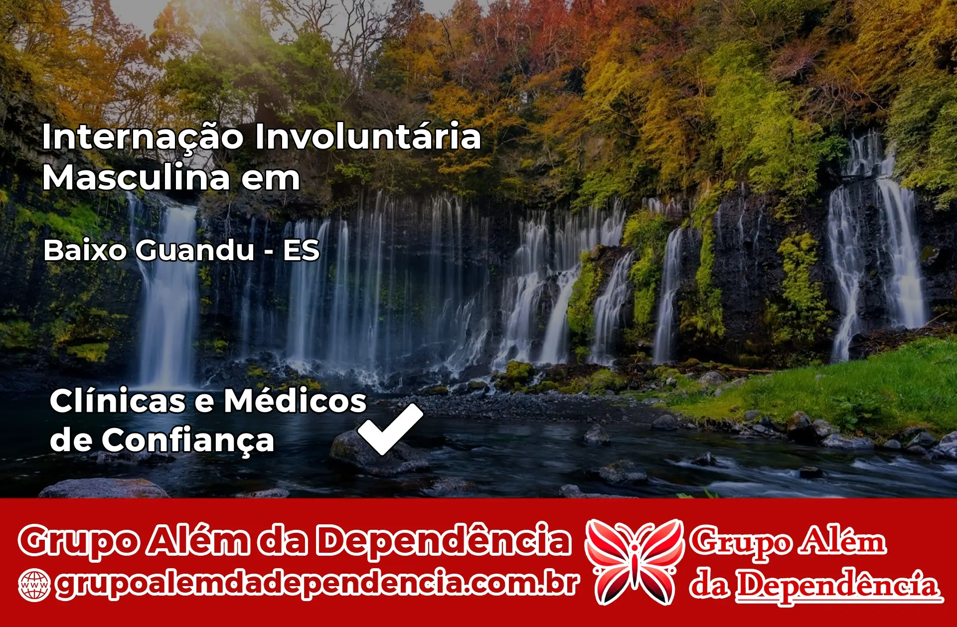 Internação Involuntária Masculina em Baixo Guandu – ES