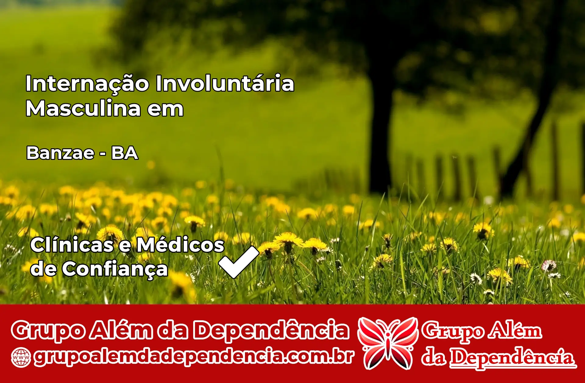 Internação Involuntária Masculina em Banzaê – BA