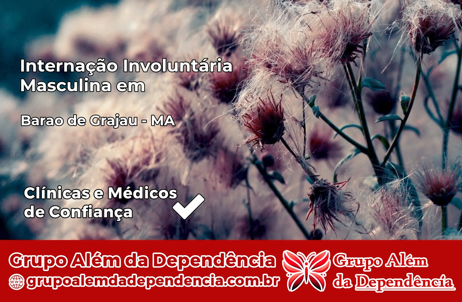 Internação Involuntária Masculina em Barão de Grajaú – MA