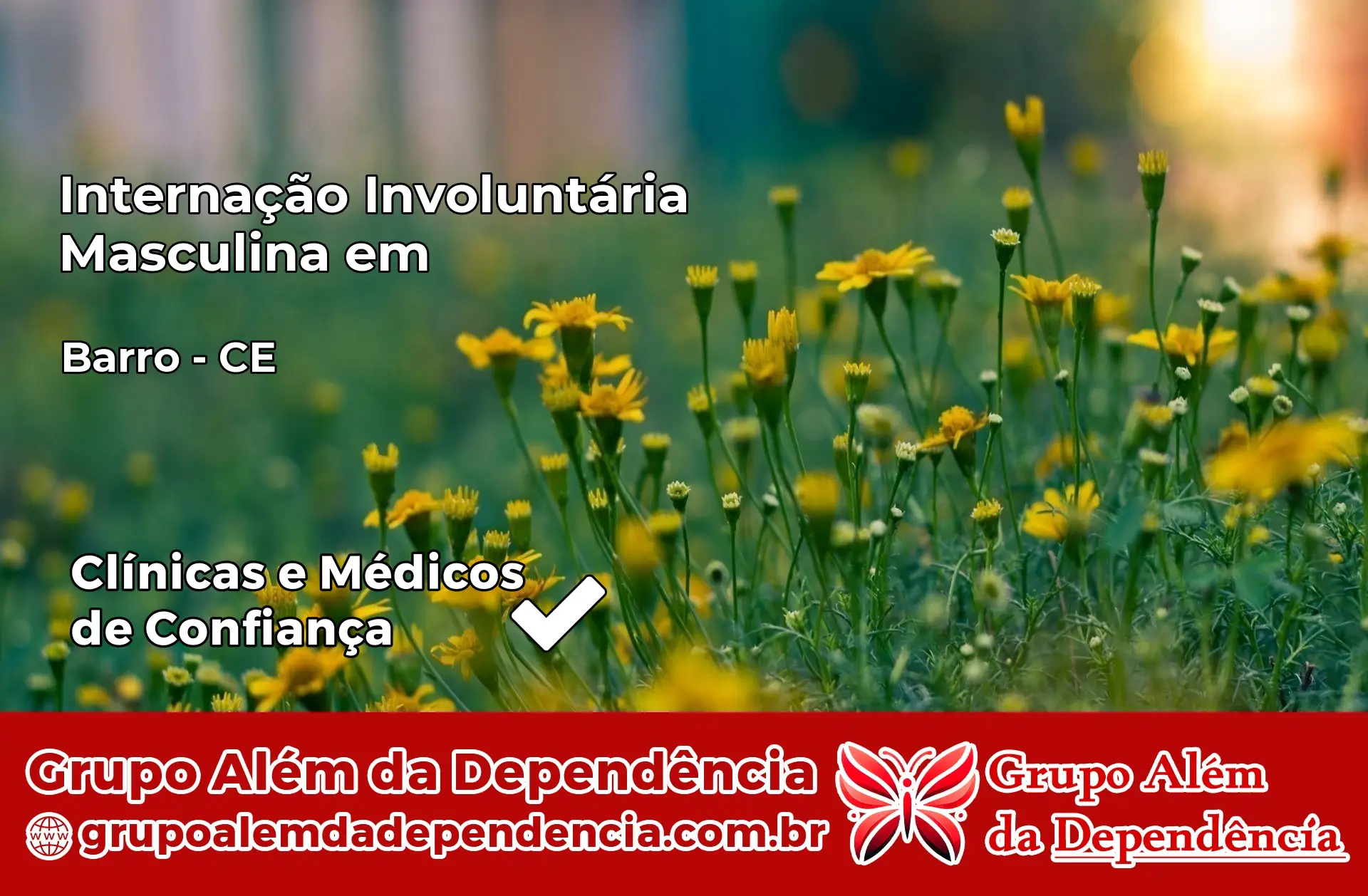 Internação Involuntária Masculina em Barro – CE