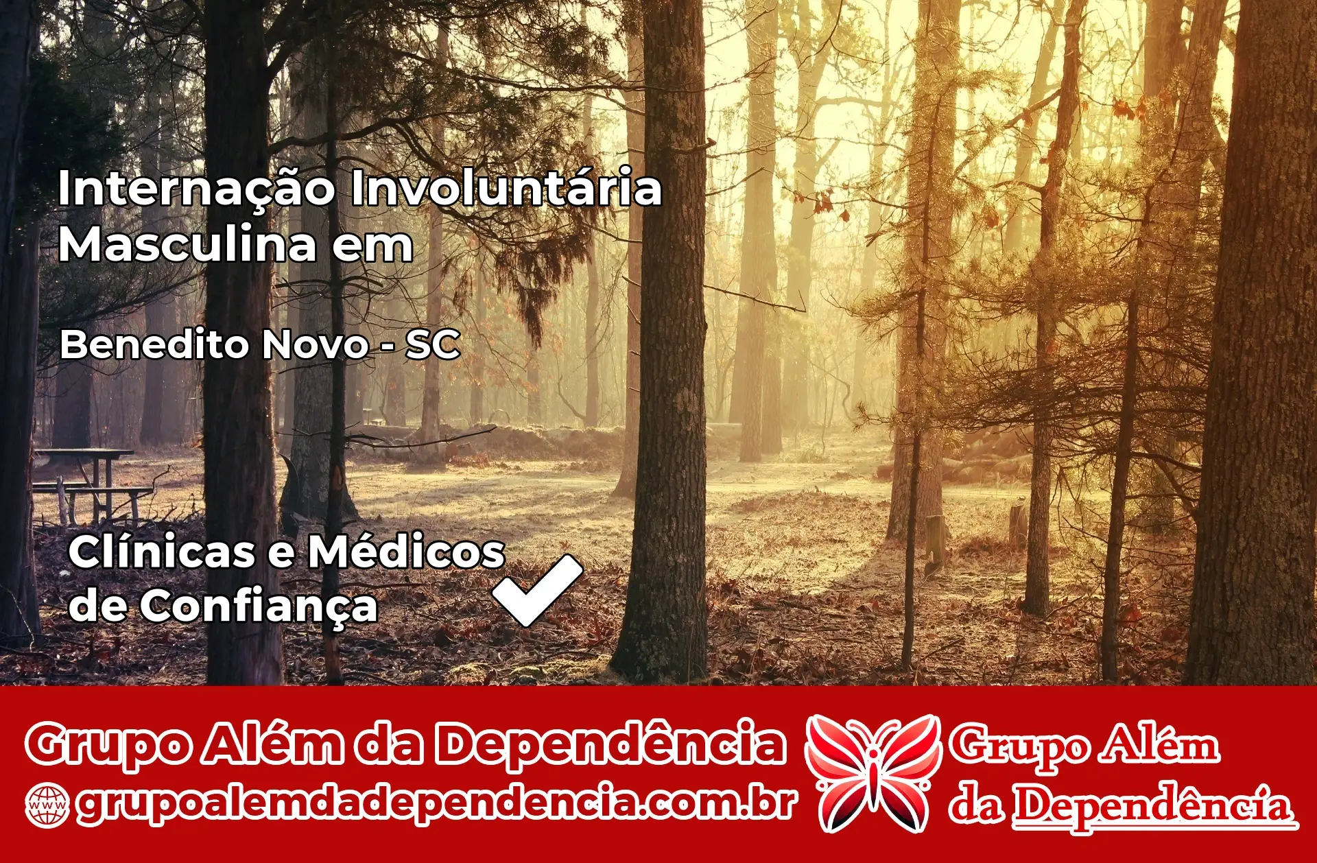 Internação Involuntária Masculina em Benedito Novo – SC