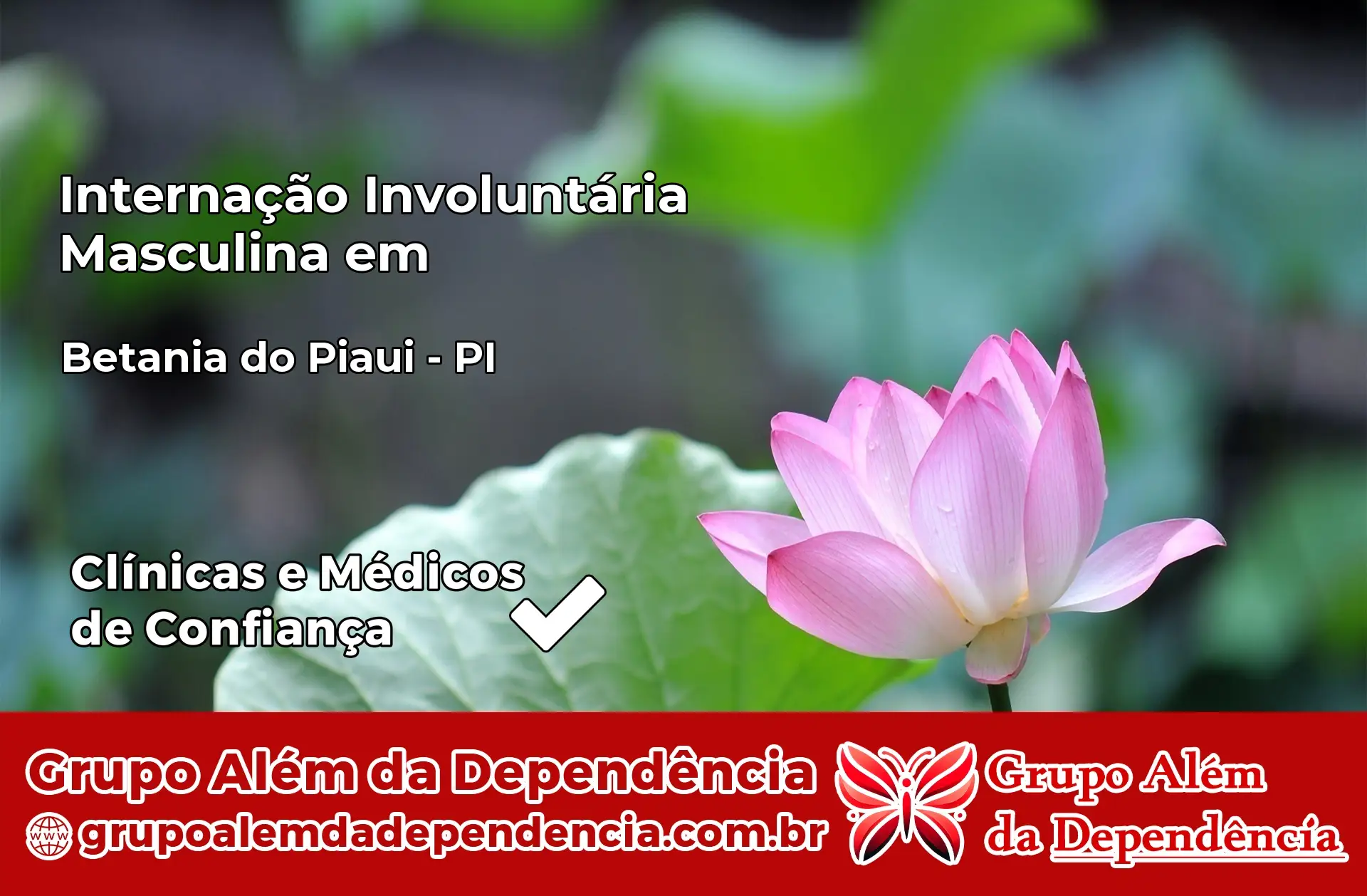 Internação Involuntária Masculina em Betânia do Piauí – PI