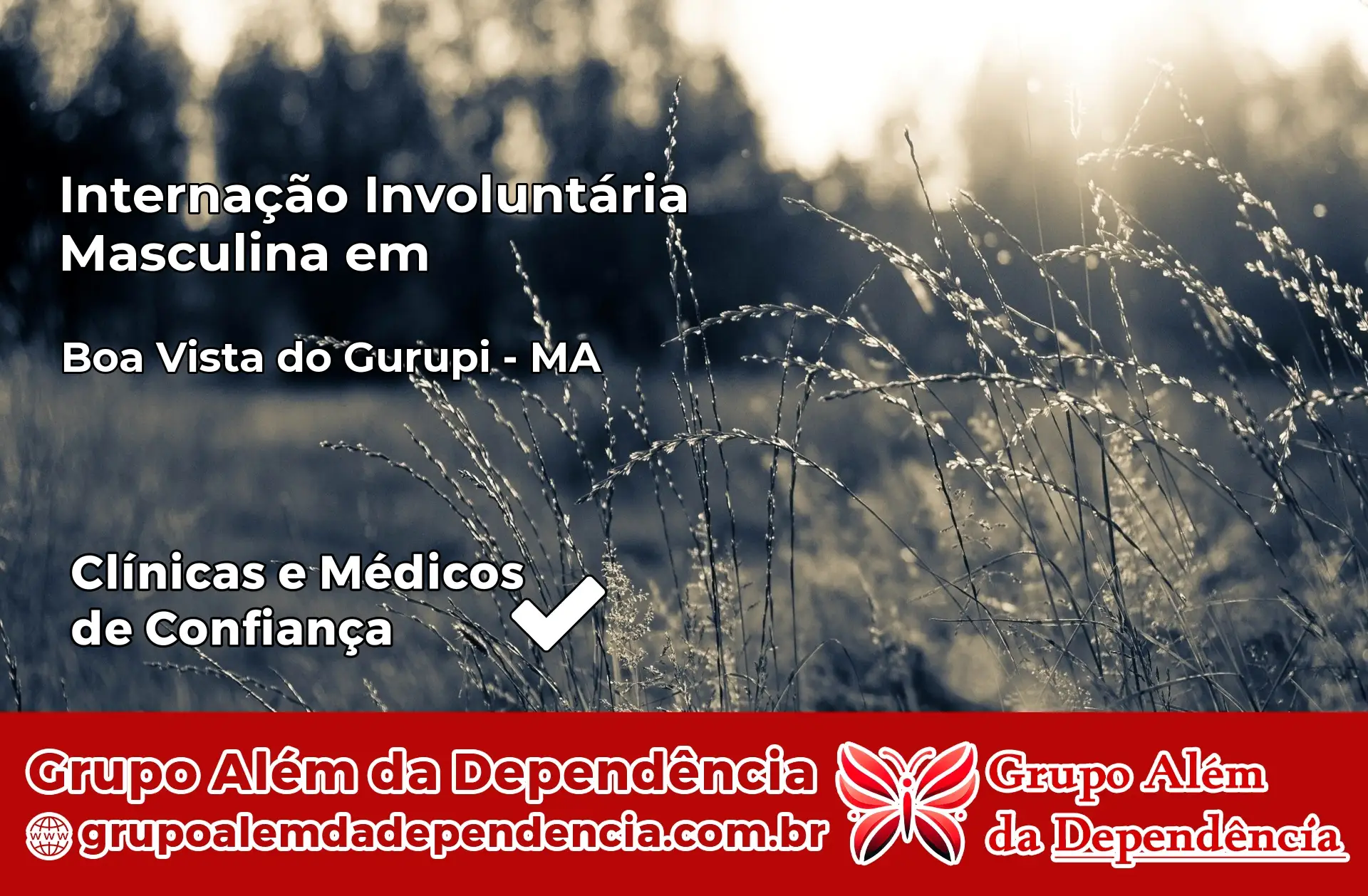 Internação Involuntária Masculina em Boa Vista do Gurupi – MA