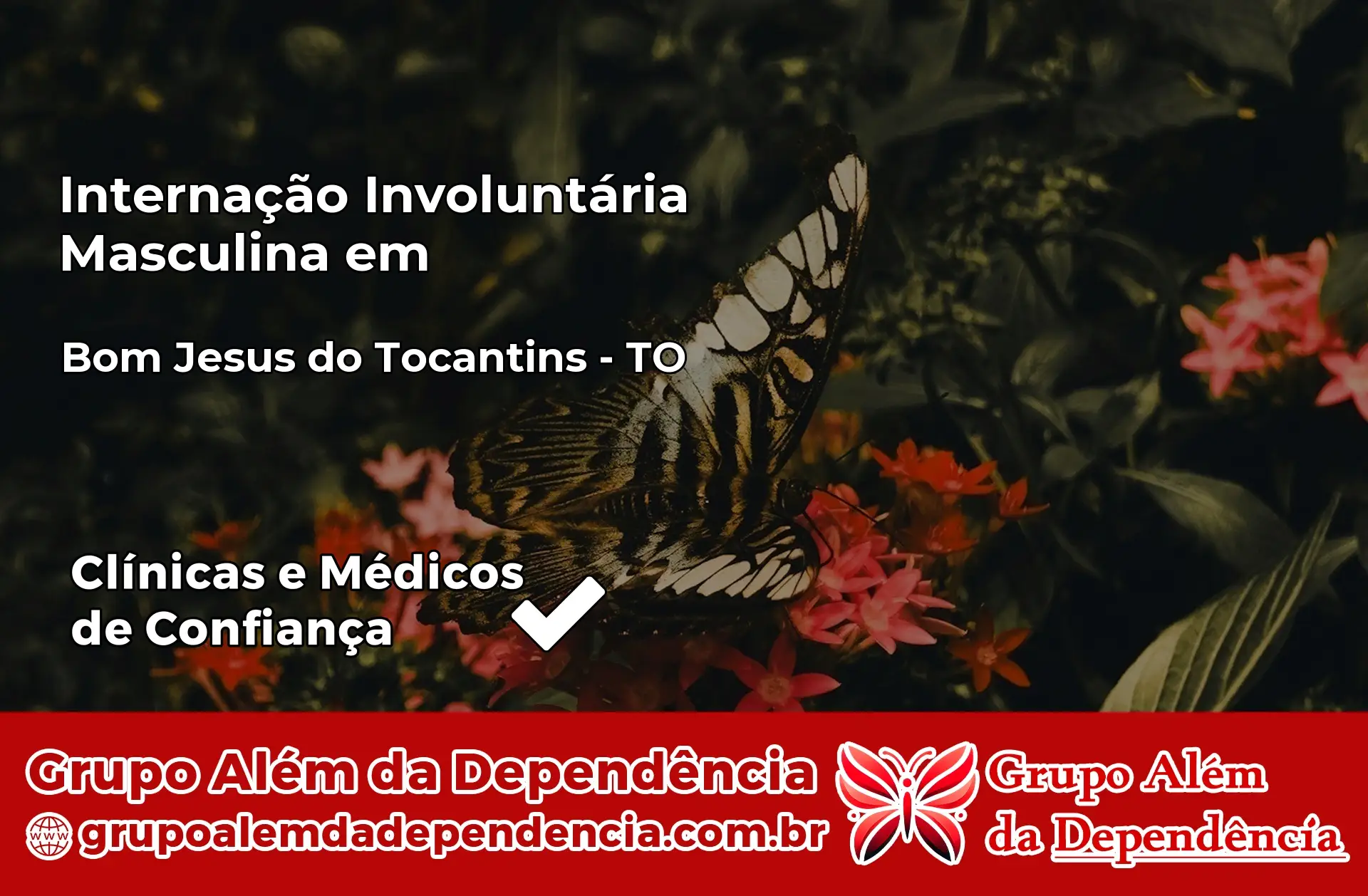Internação Involuntária Masculina em Bom Jesus do Tocantins – TO