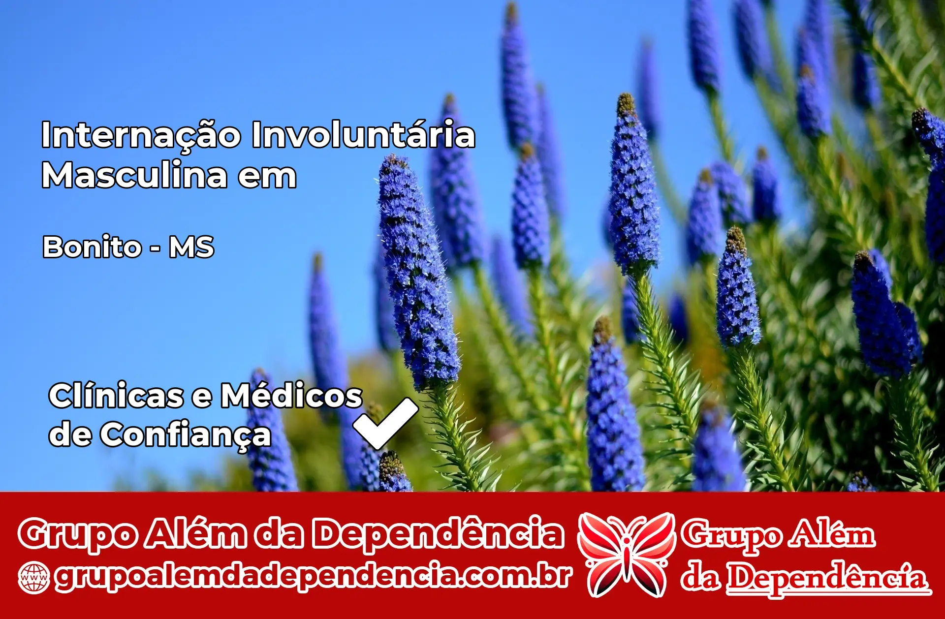 Internação Involuntária Masculina em Bonito – MS